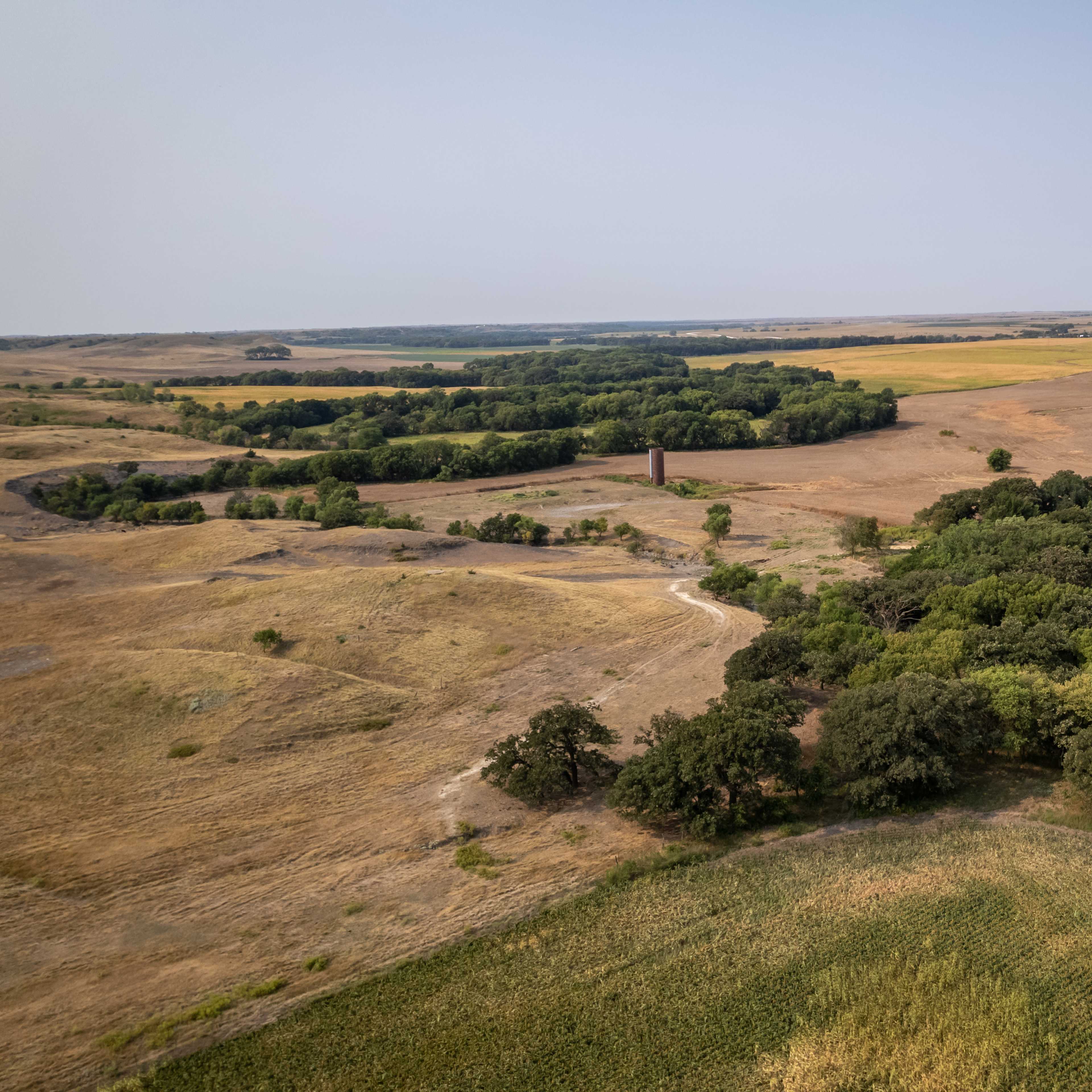 Kansas Hunting Haven - Dove