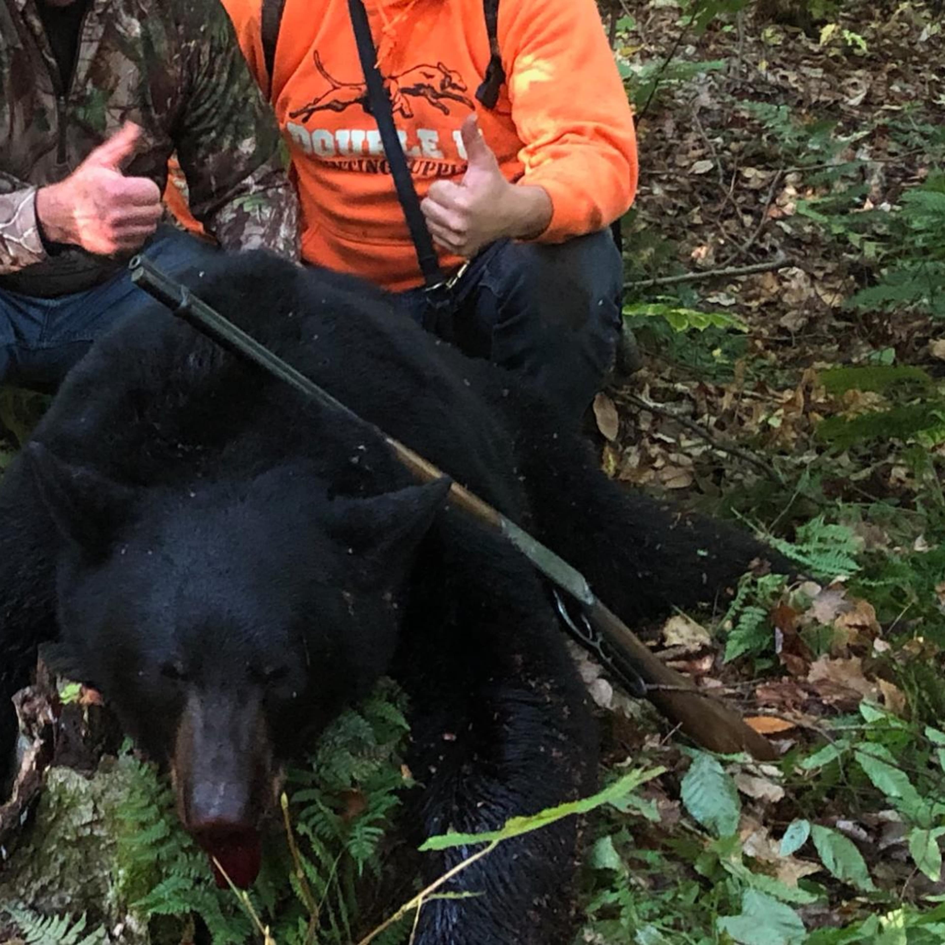 Rhody Creek - Black Bear