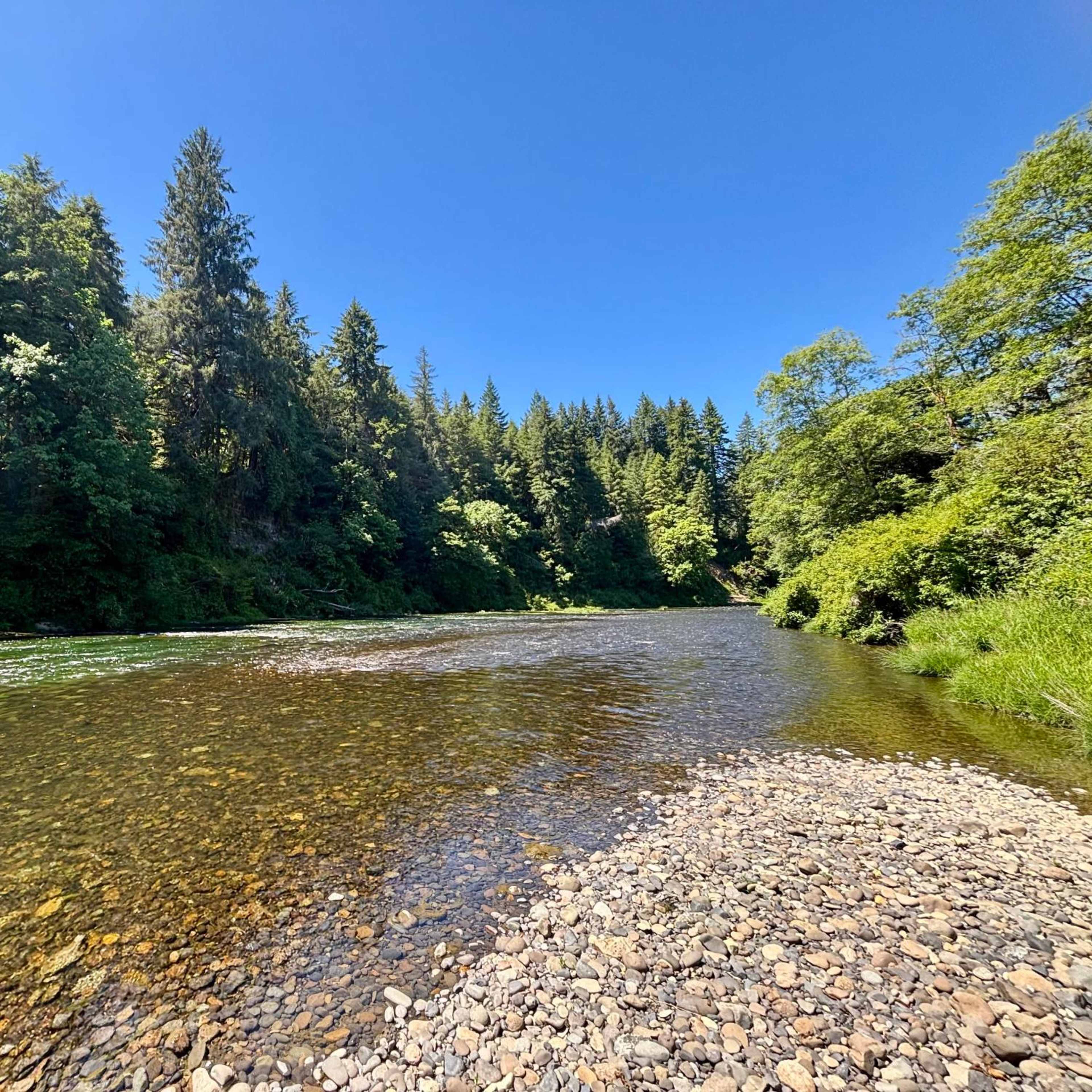 Siletz Salmon Sanctuary