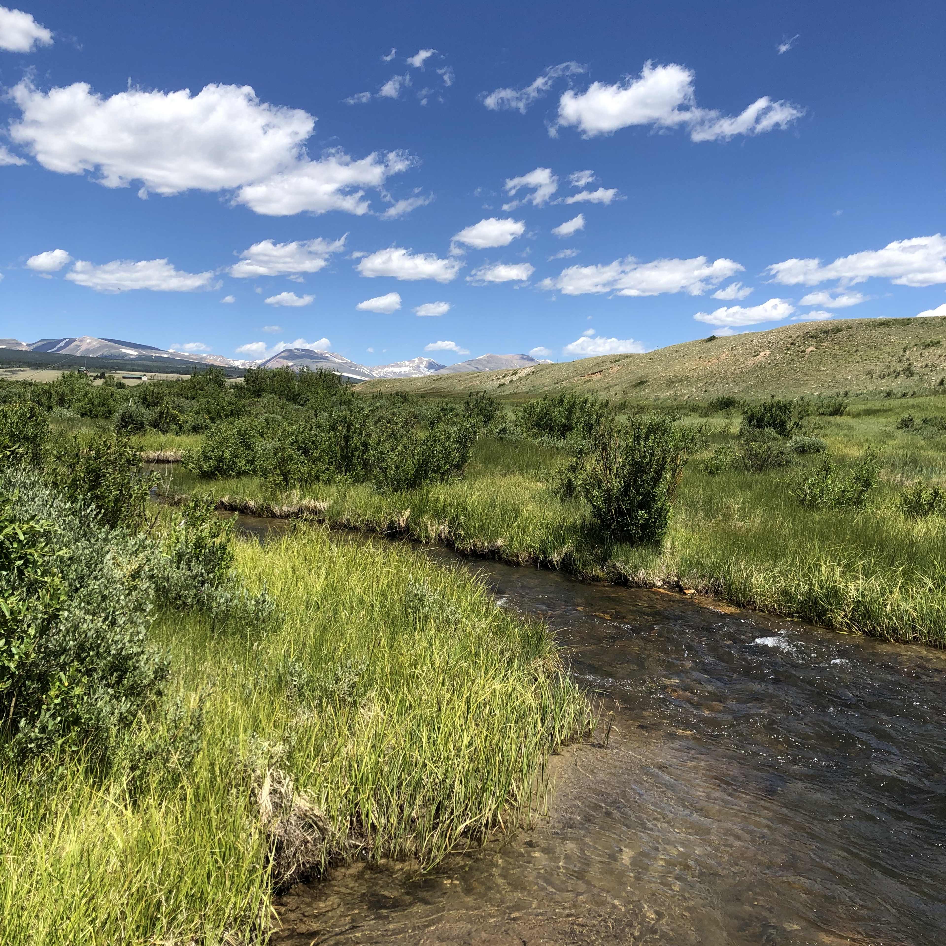 Pettee Plains Ranch