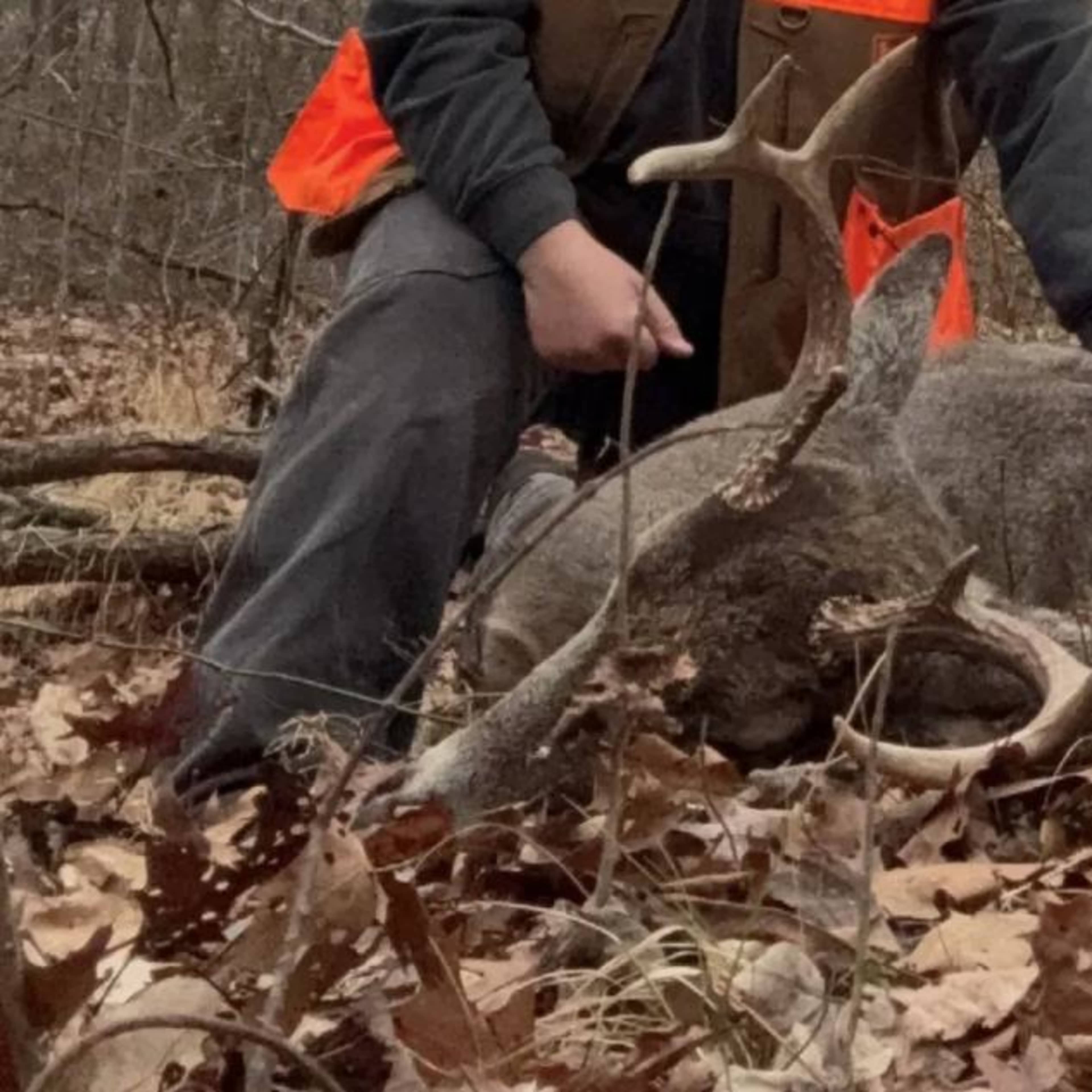 Old Glory Hunting Preserve - Whitetail (Peak Rut) 14 Day Hunt