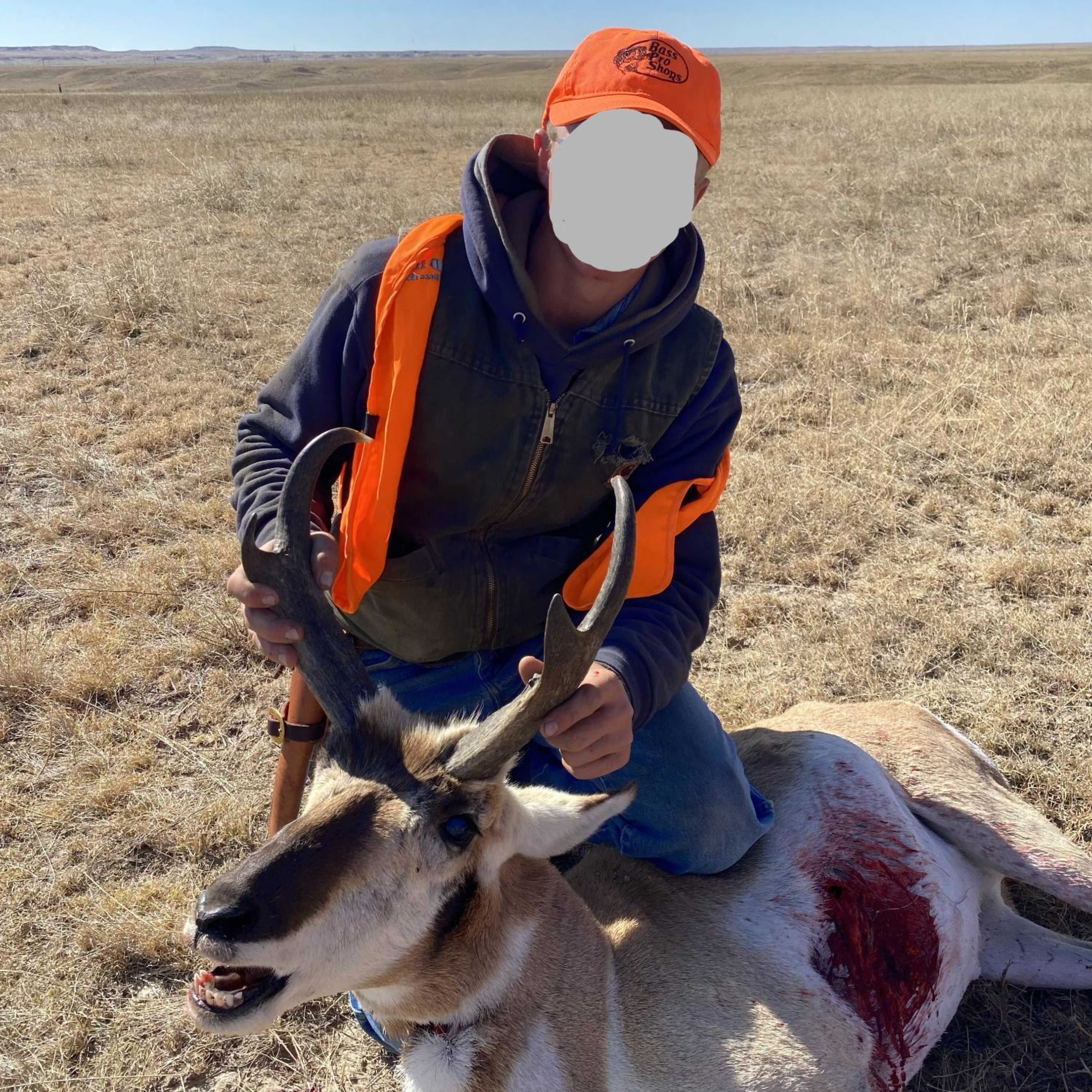 Walker Ranch - Pronghorn Buck
