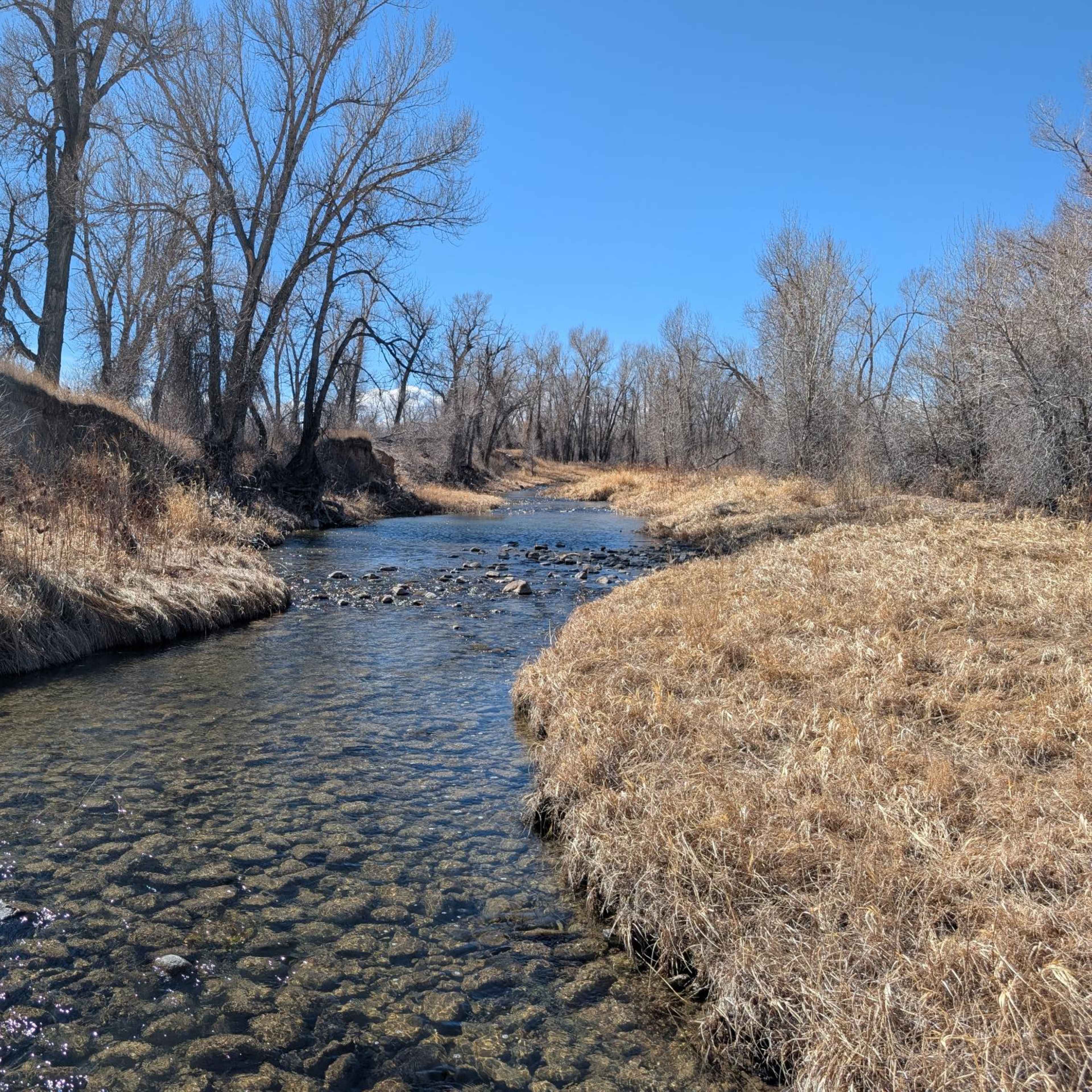 La Bonte Creek Jump Shoot - Waterfowl