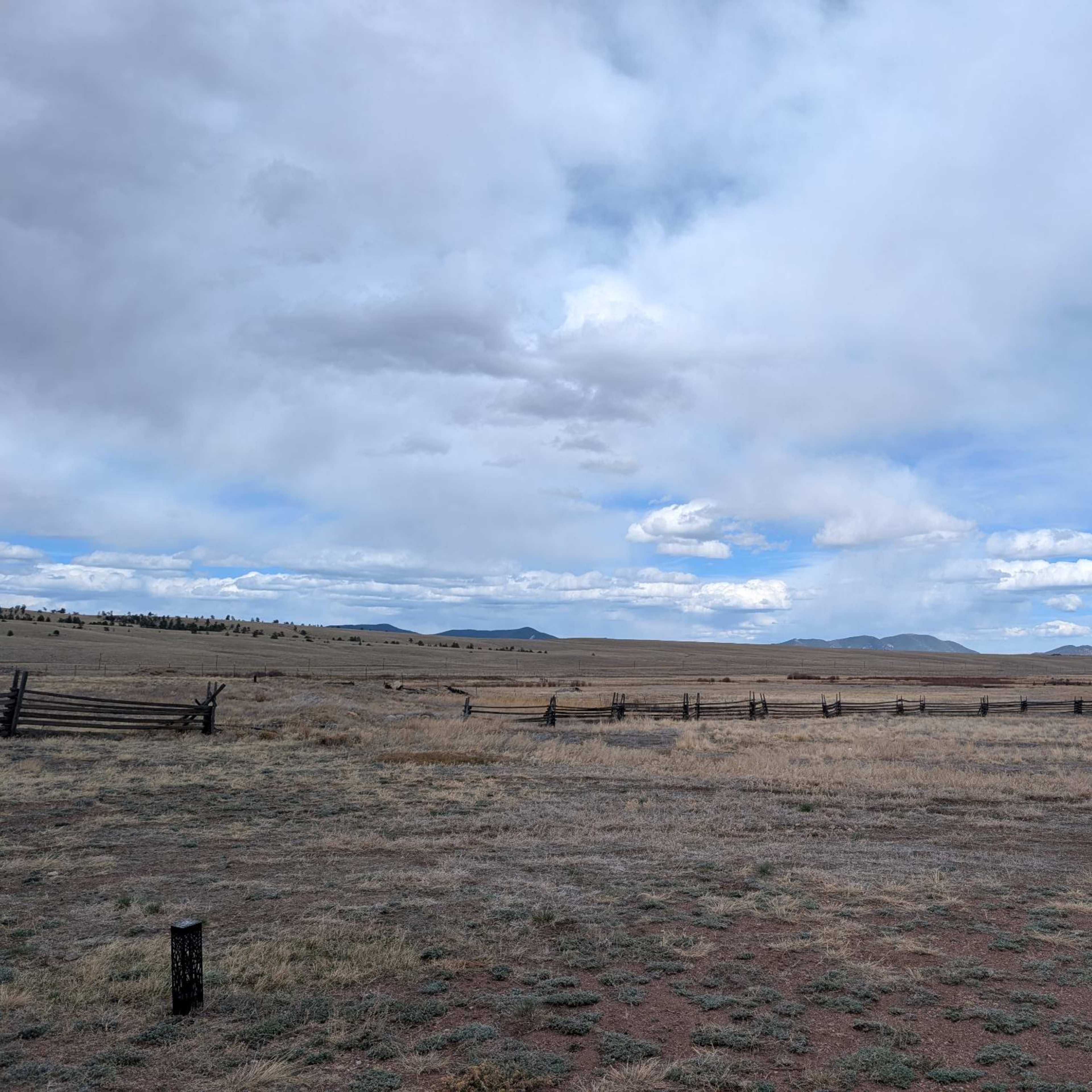 Hartsel Ranch - Varmint
