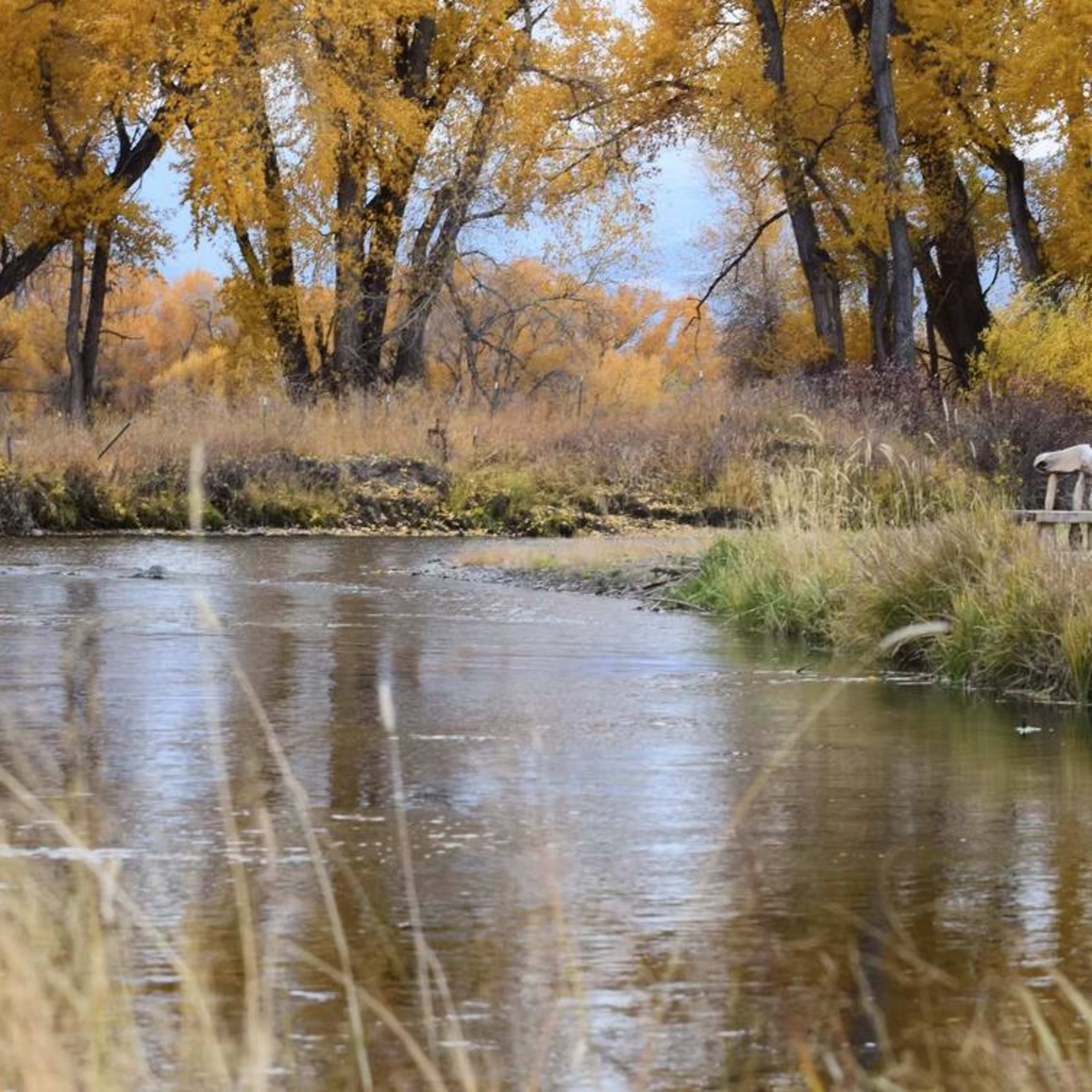 Tin Cup Ranch