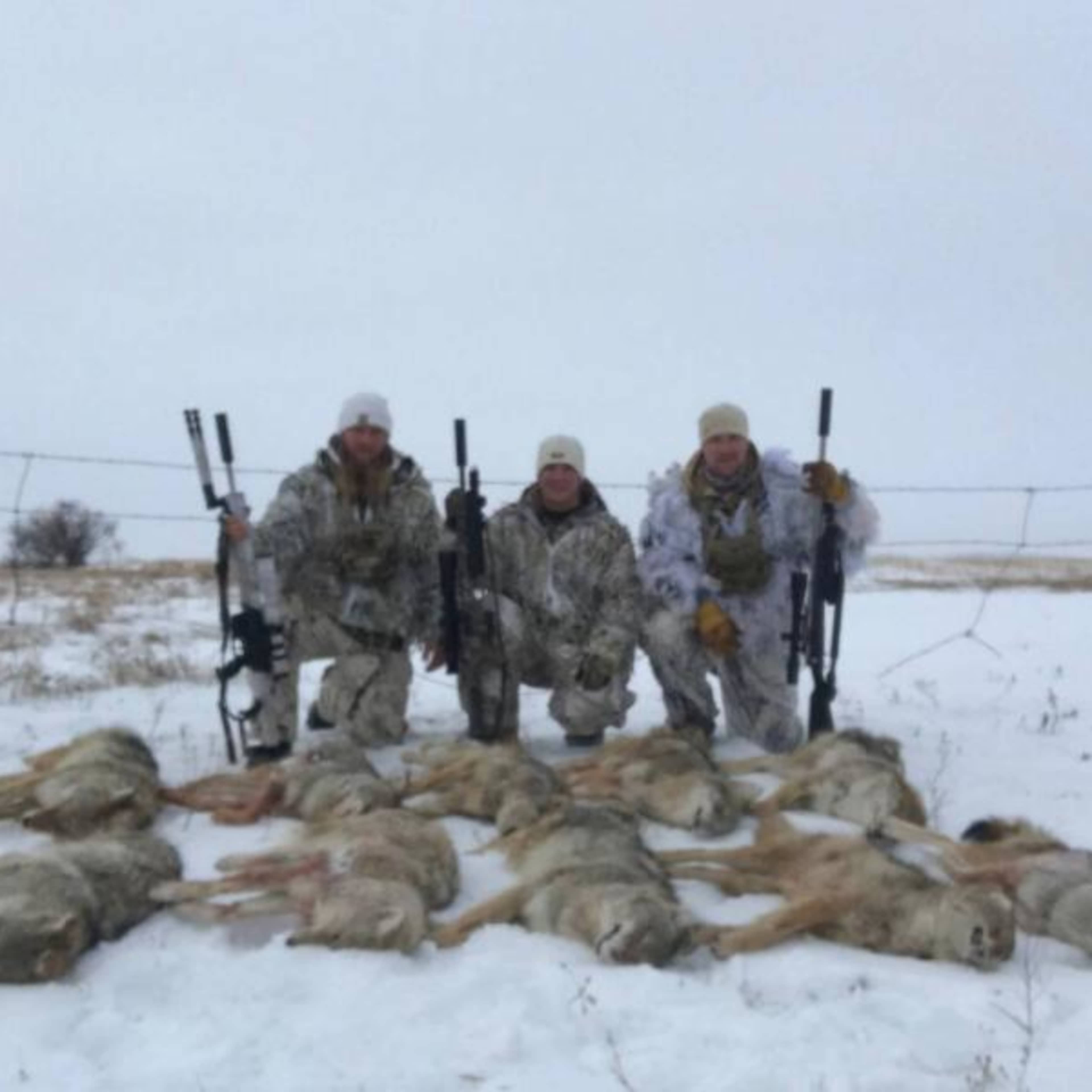 Firesteel Coyotes + Lodging