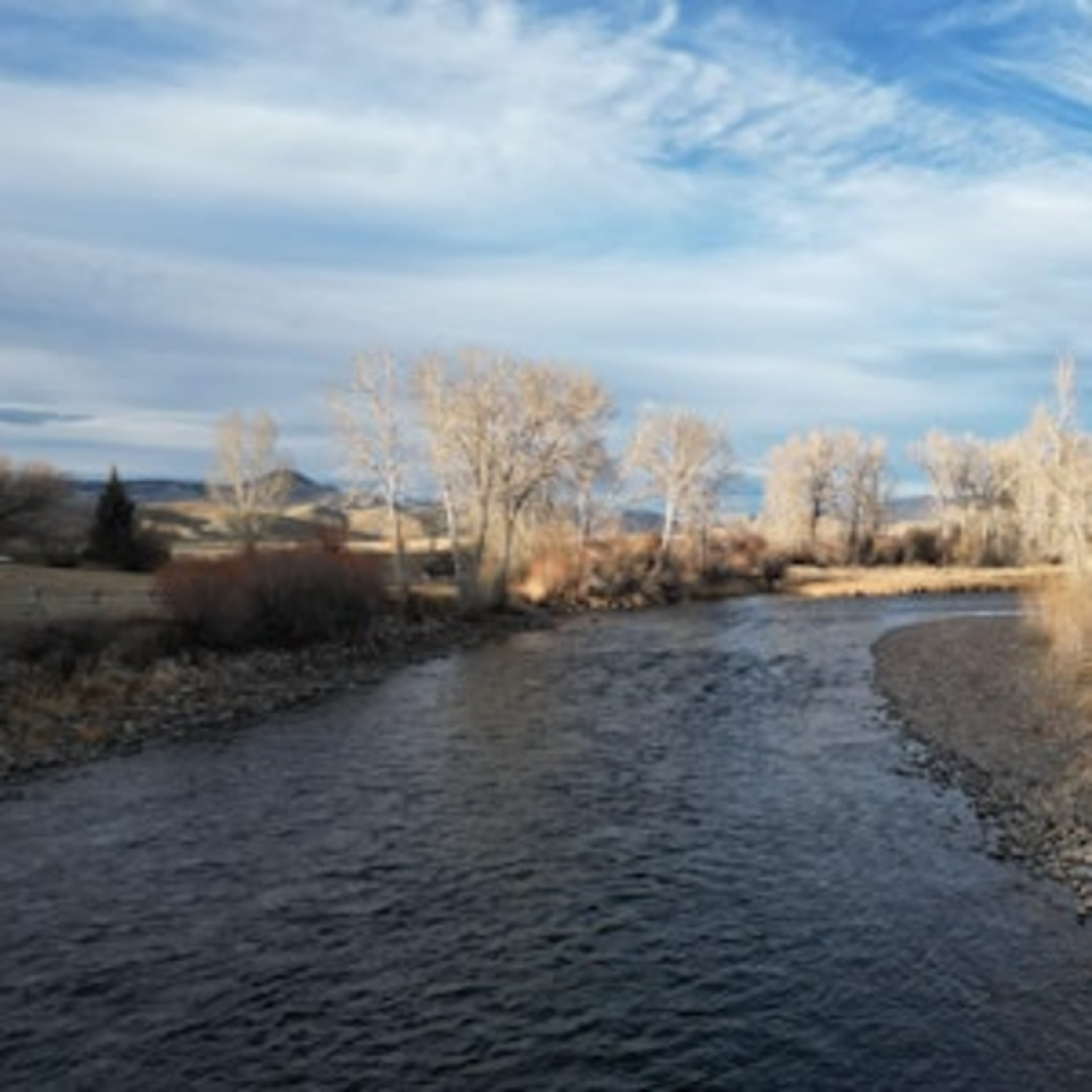 Long Meadow on the Big Hole River