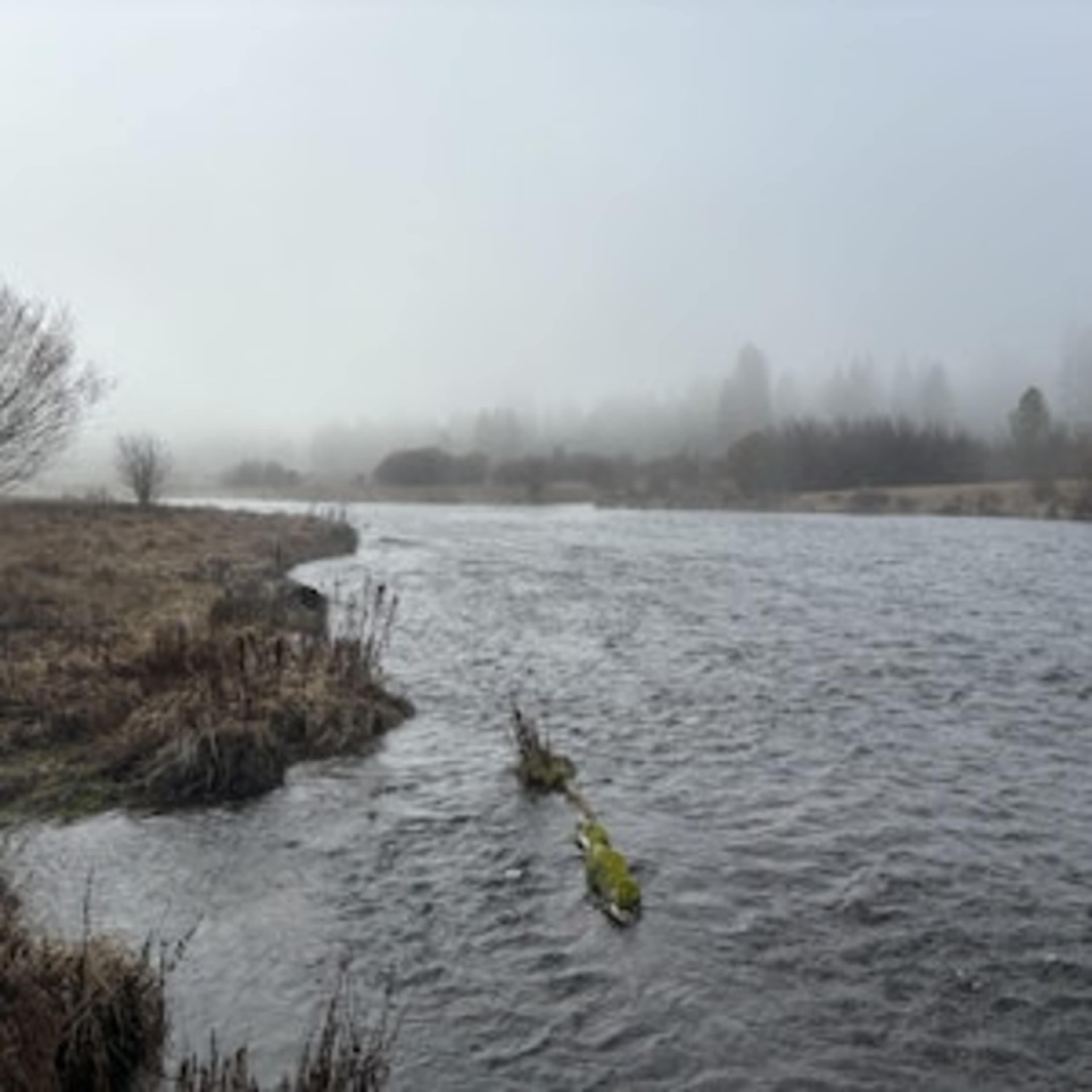 [RW] House on the Metolius