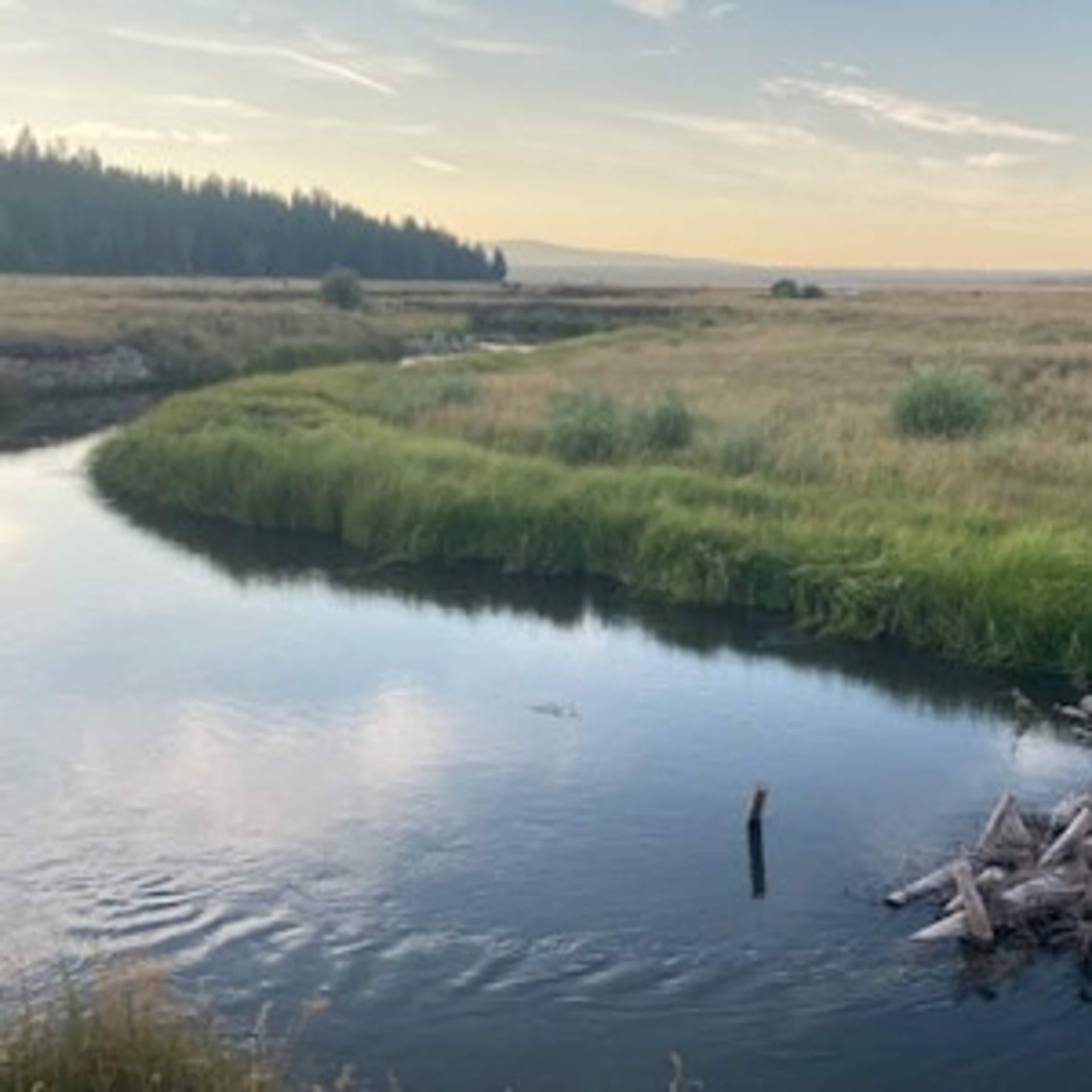 [RW] Williamson River Meandering Ranch