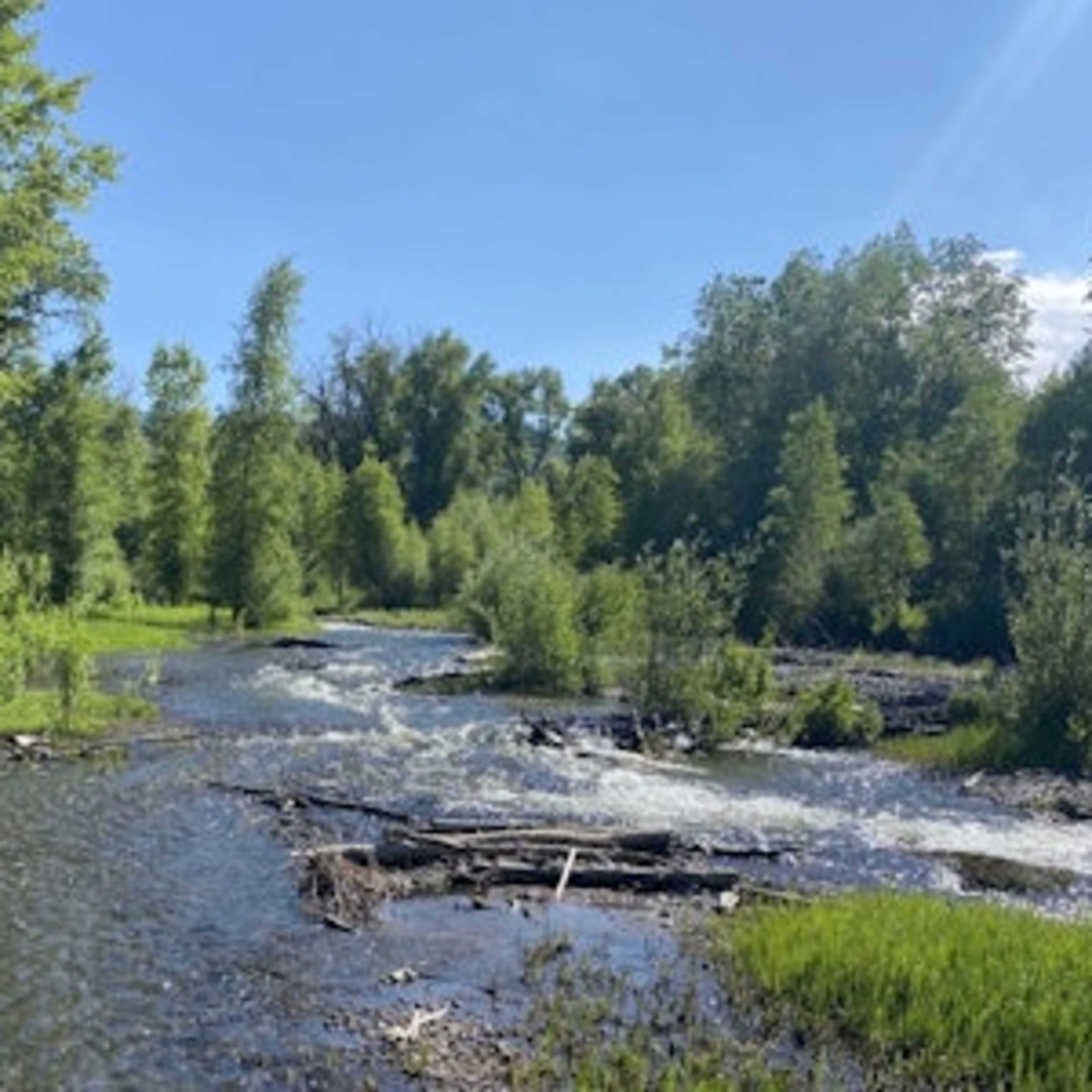 [RW] Dyer Creek Reserve