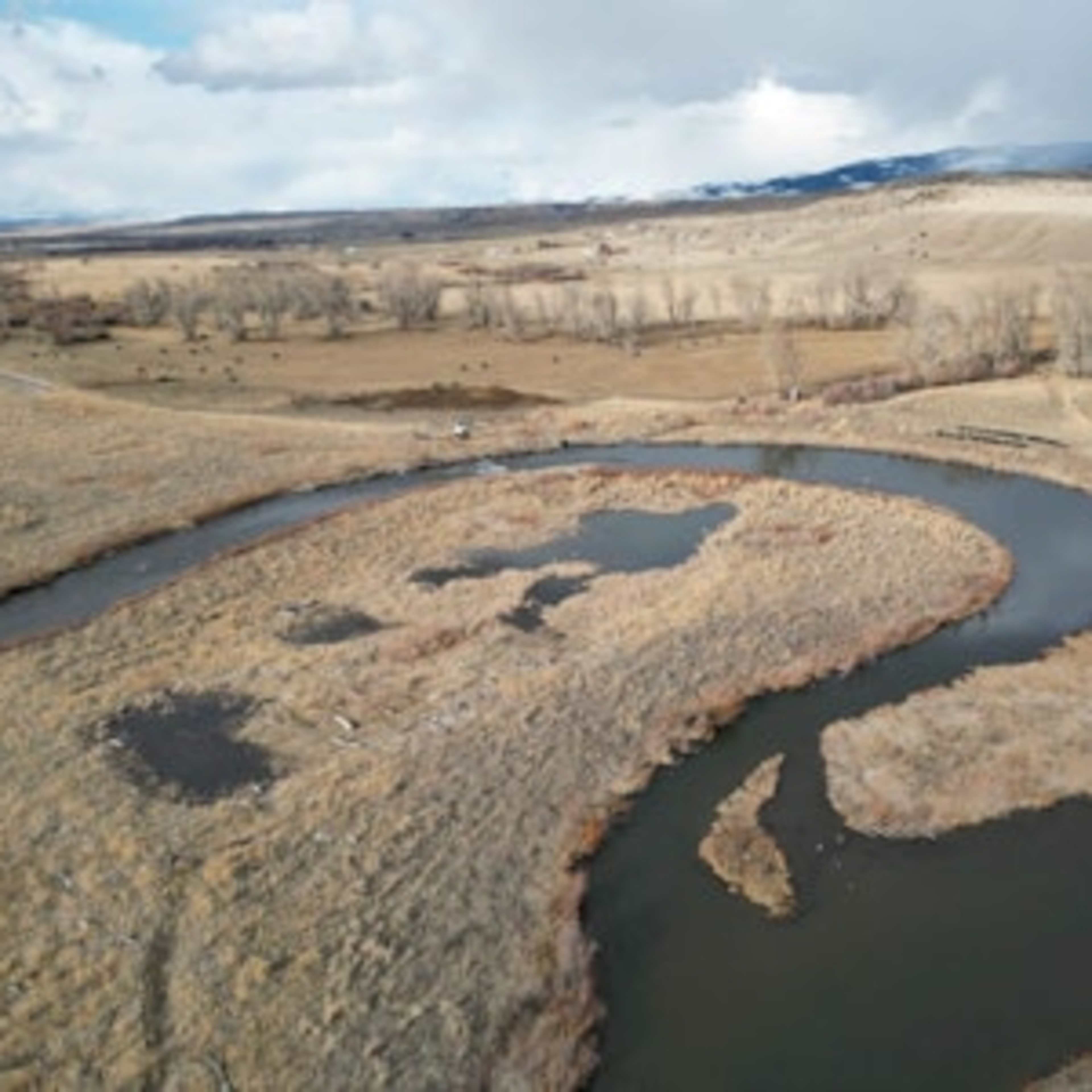 [RW] Clark Fork Meadows
