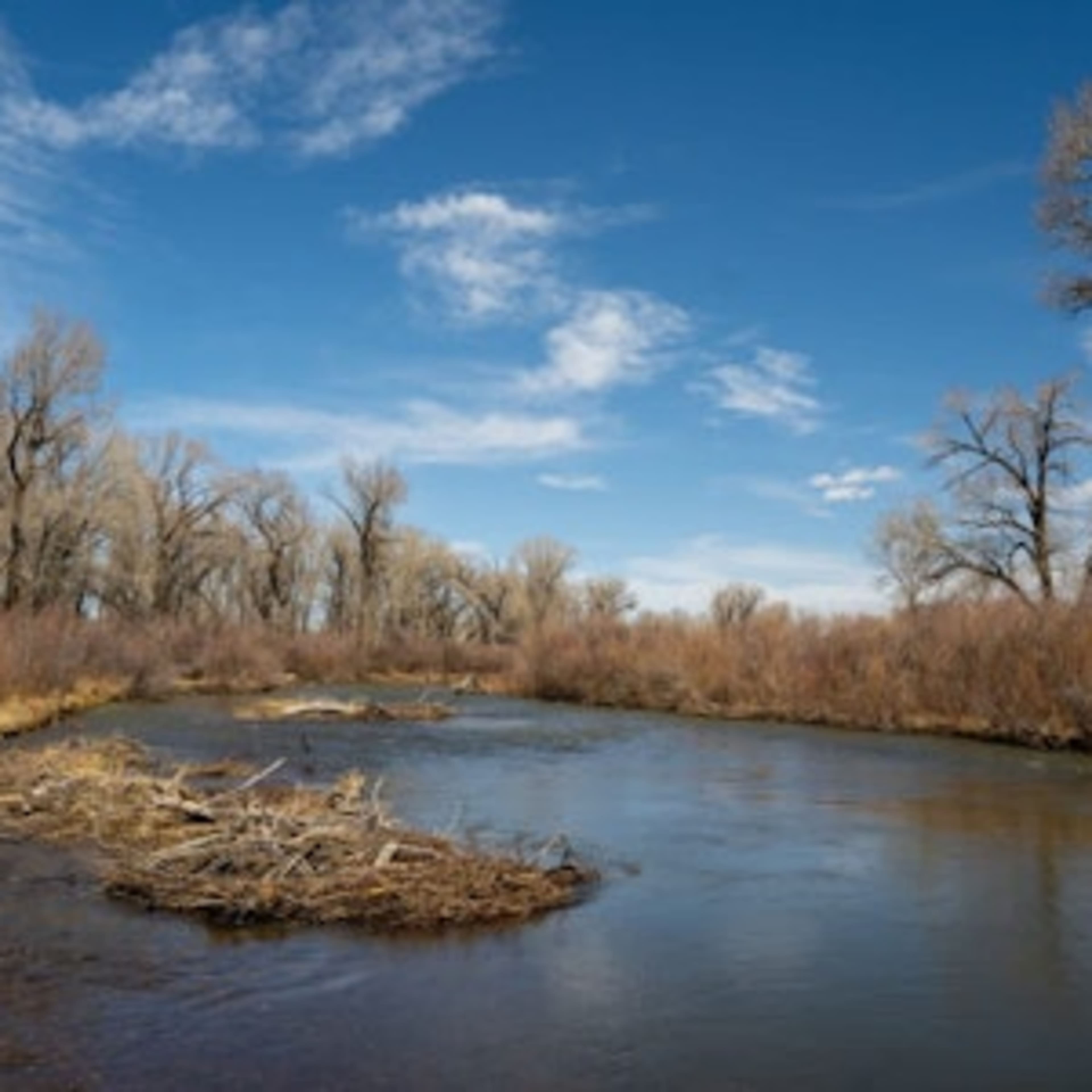 [RW] Conejos River
