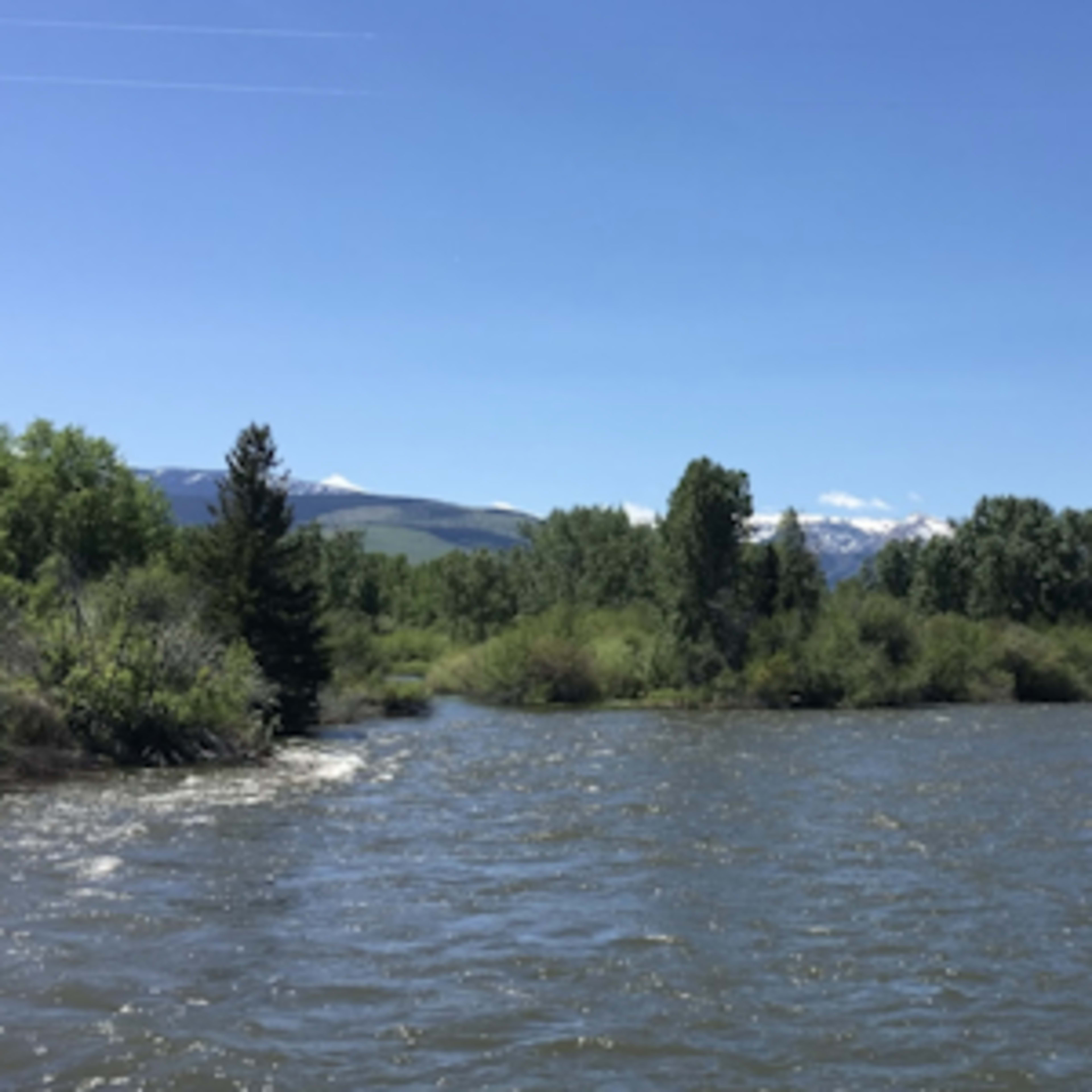 Montana Meadows Ranch