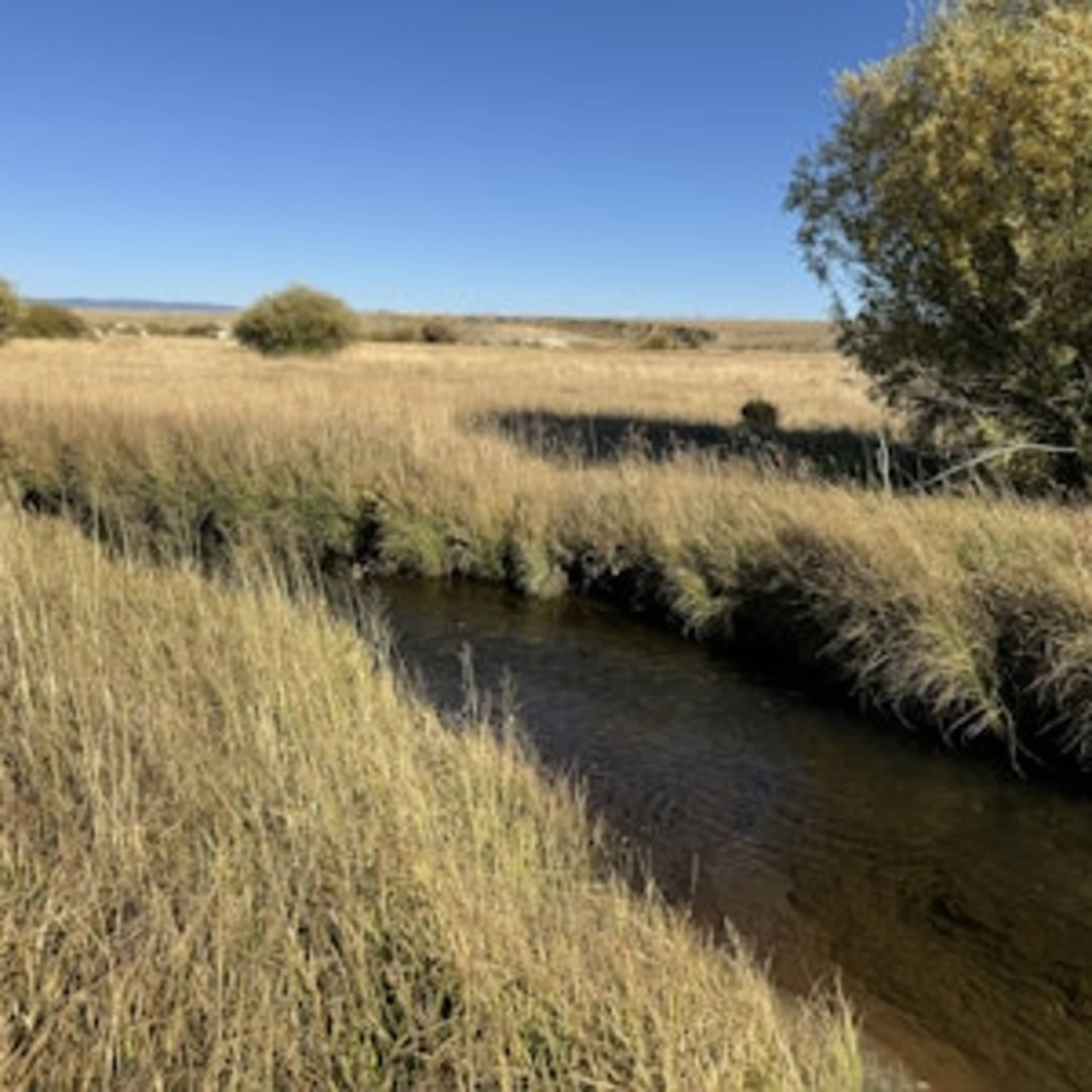 [RW] North Fork River Basin