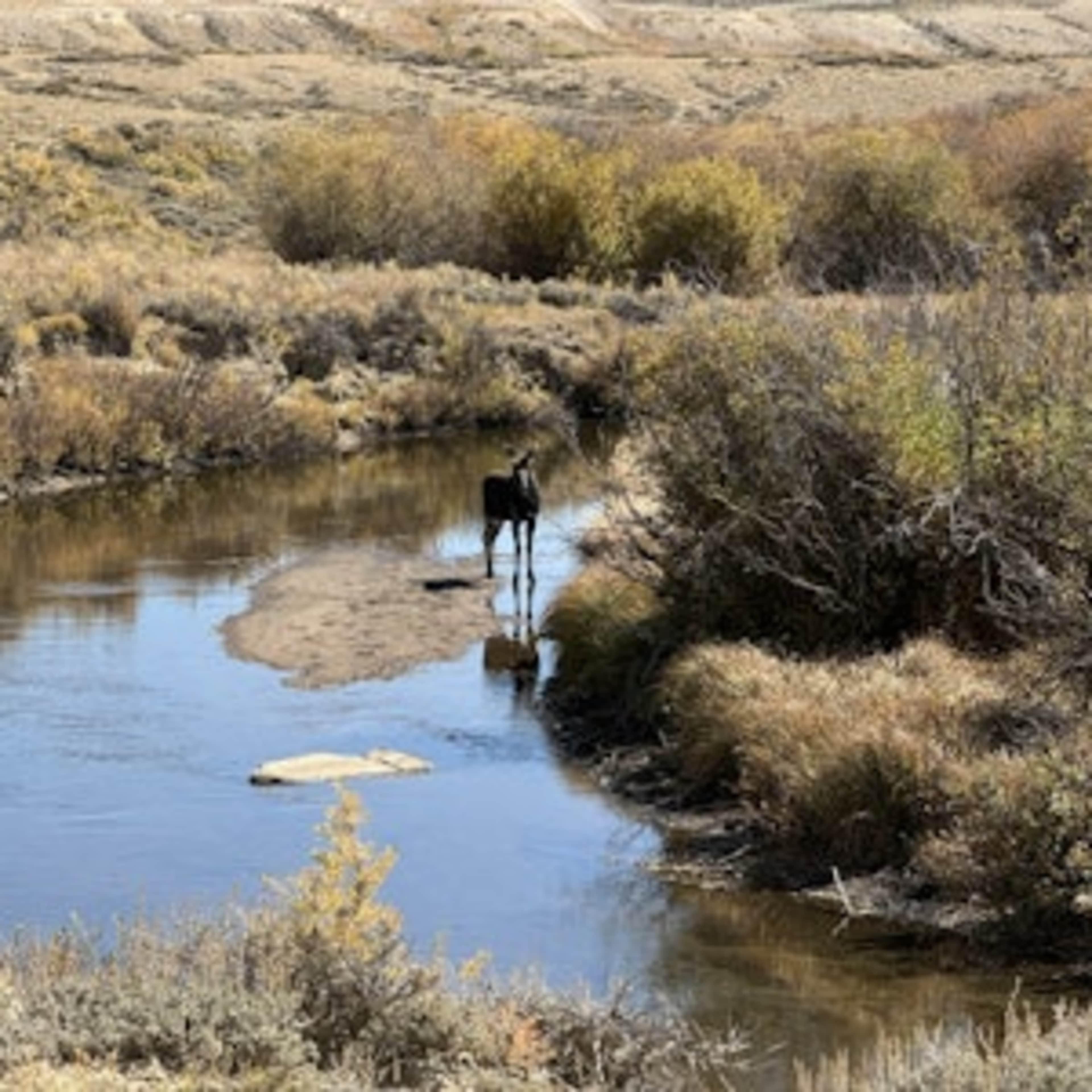 [RW] North Fork River Valley