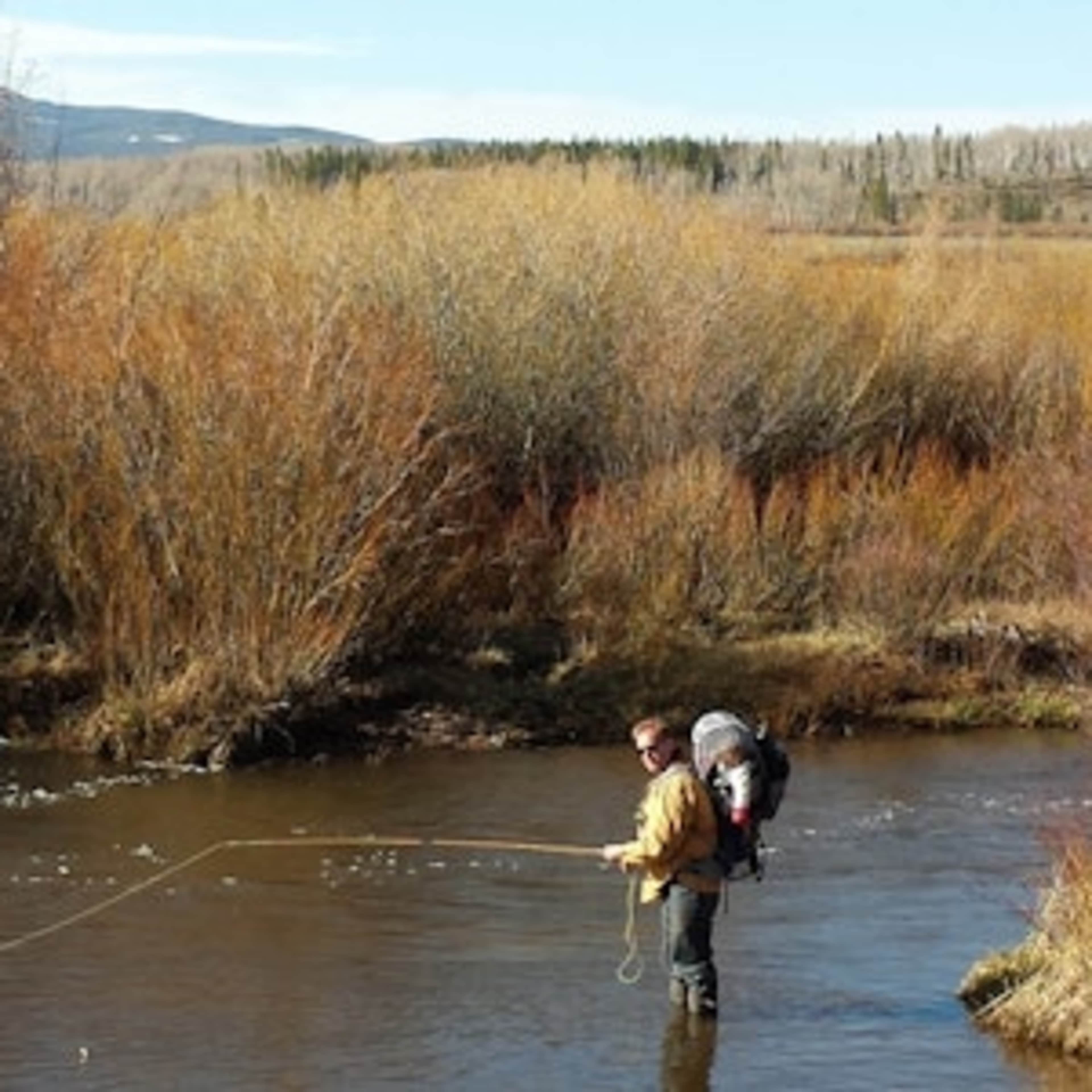 [RW] Michigan River Getaway