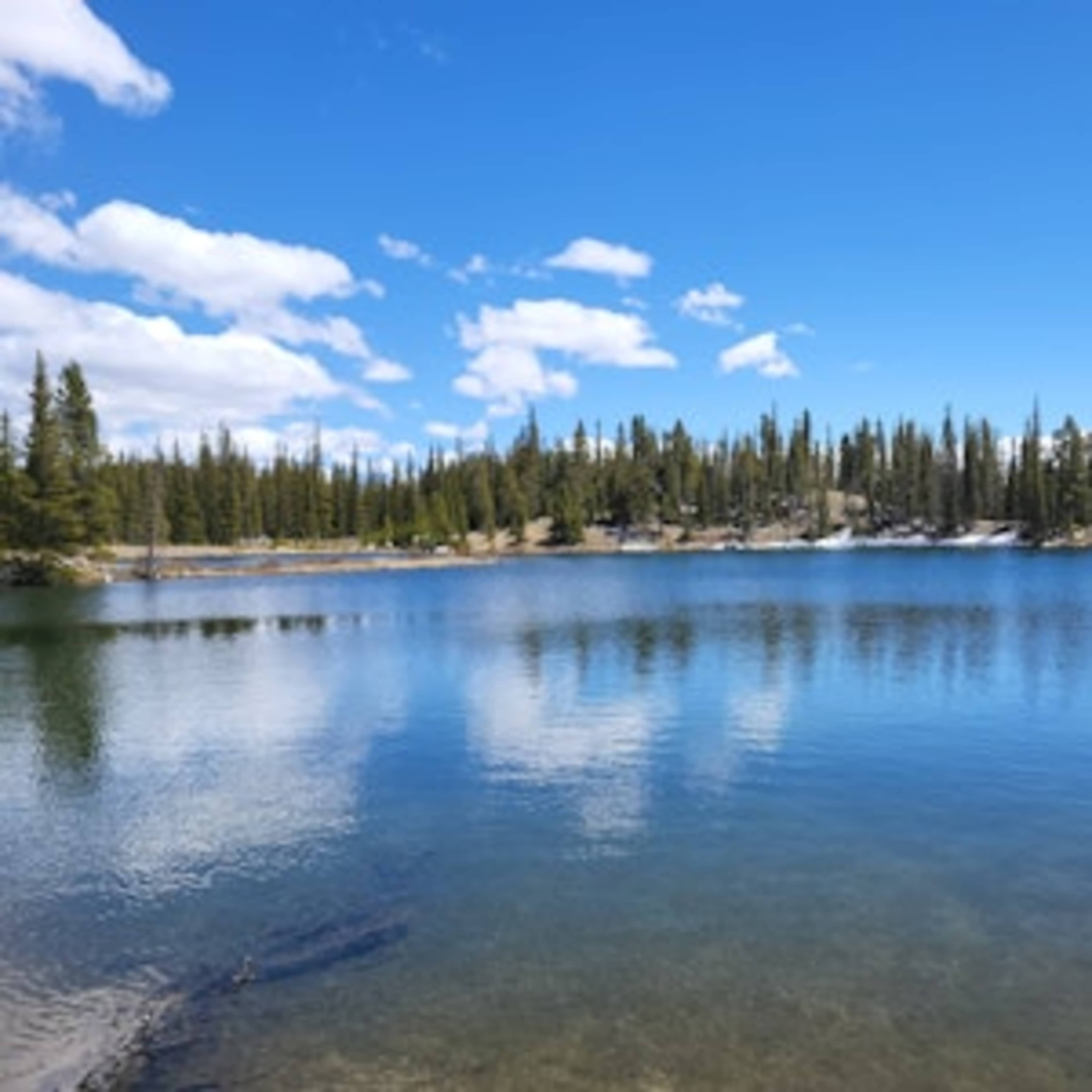 [RW] Mirror on the Michigan: Lower Lake
