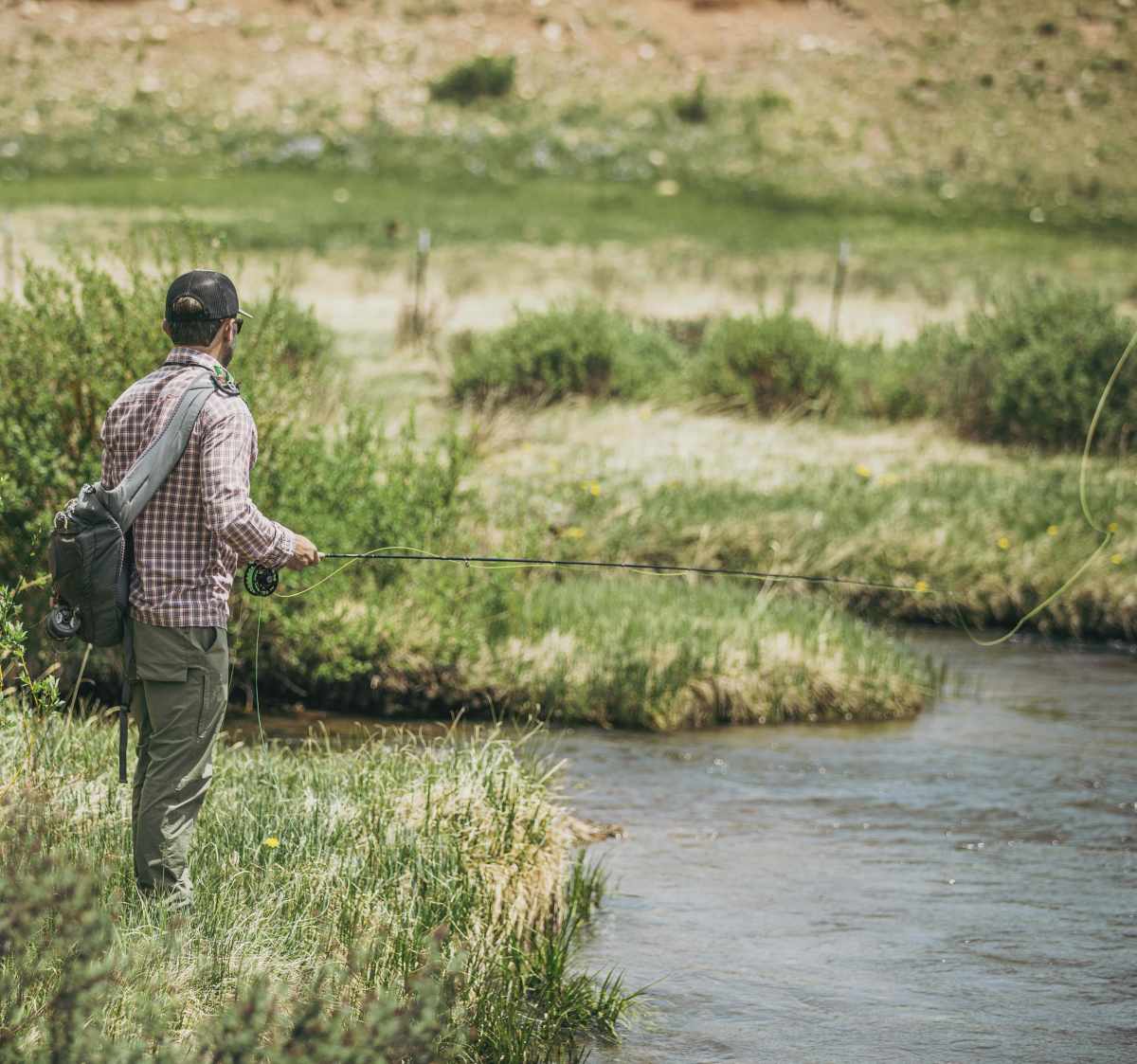 property_data/FPqzsTeNCVwGtPnez0jv/pictures/Dowell_Yak Ranch-11-min.jpeg