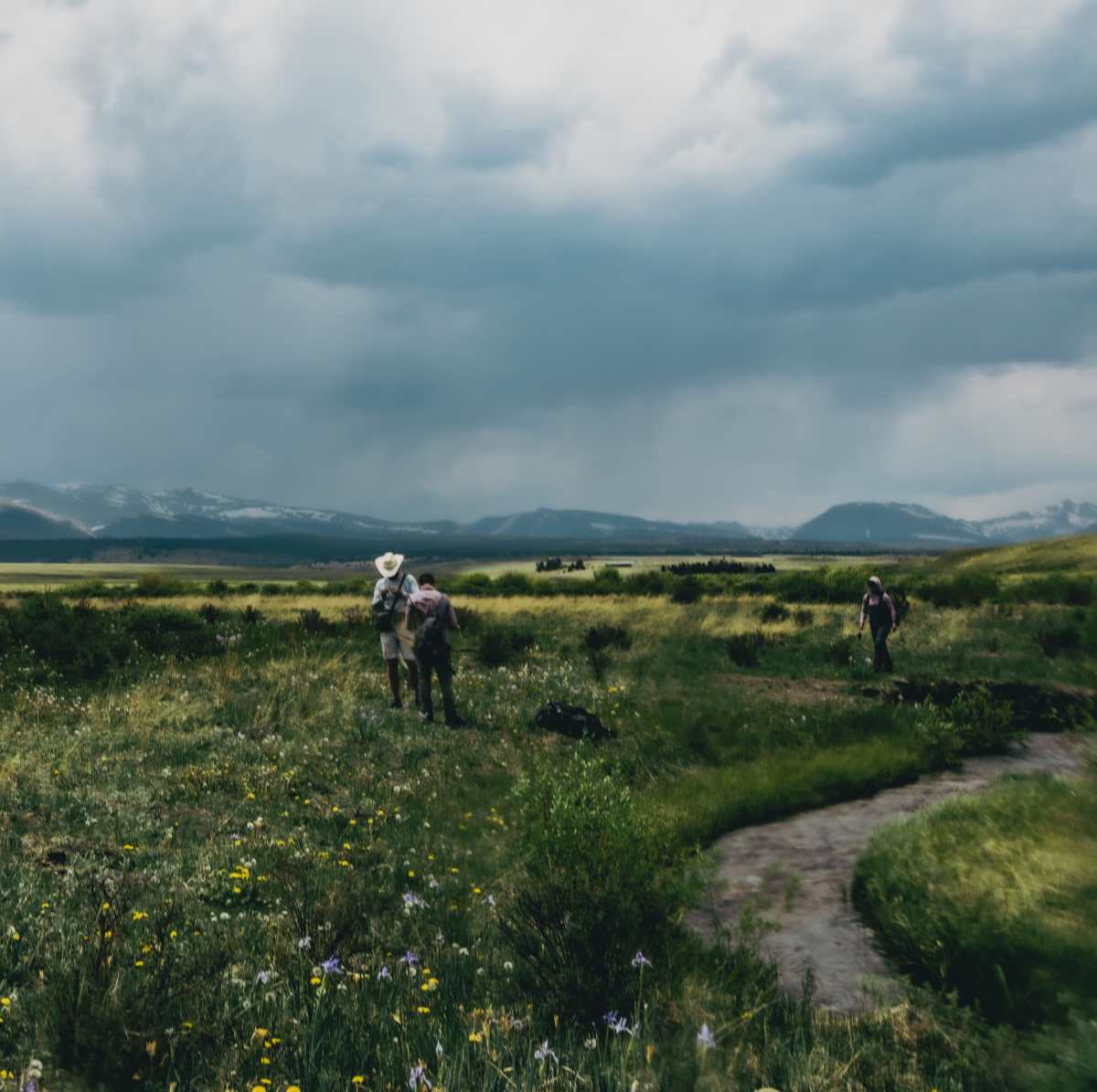 property_data/FPqzsTeNCVwGtPnez0jv/pictures/Dowell_Yak Ranch-53-min.jpeg