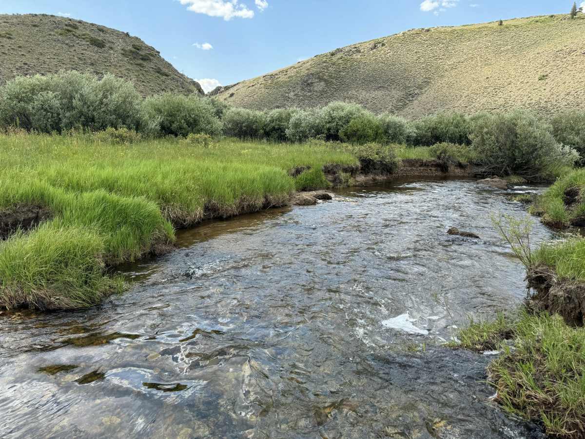 property_data/K8BjYyzvSMDrdnC2JYqR/pictures/[RW] Ranch Creek Valley Vista_1.jpg