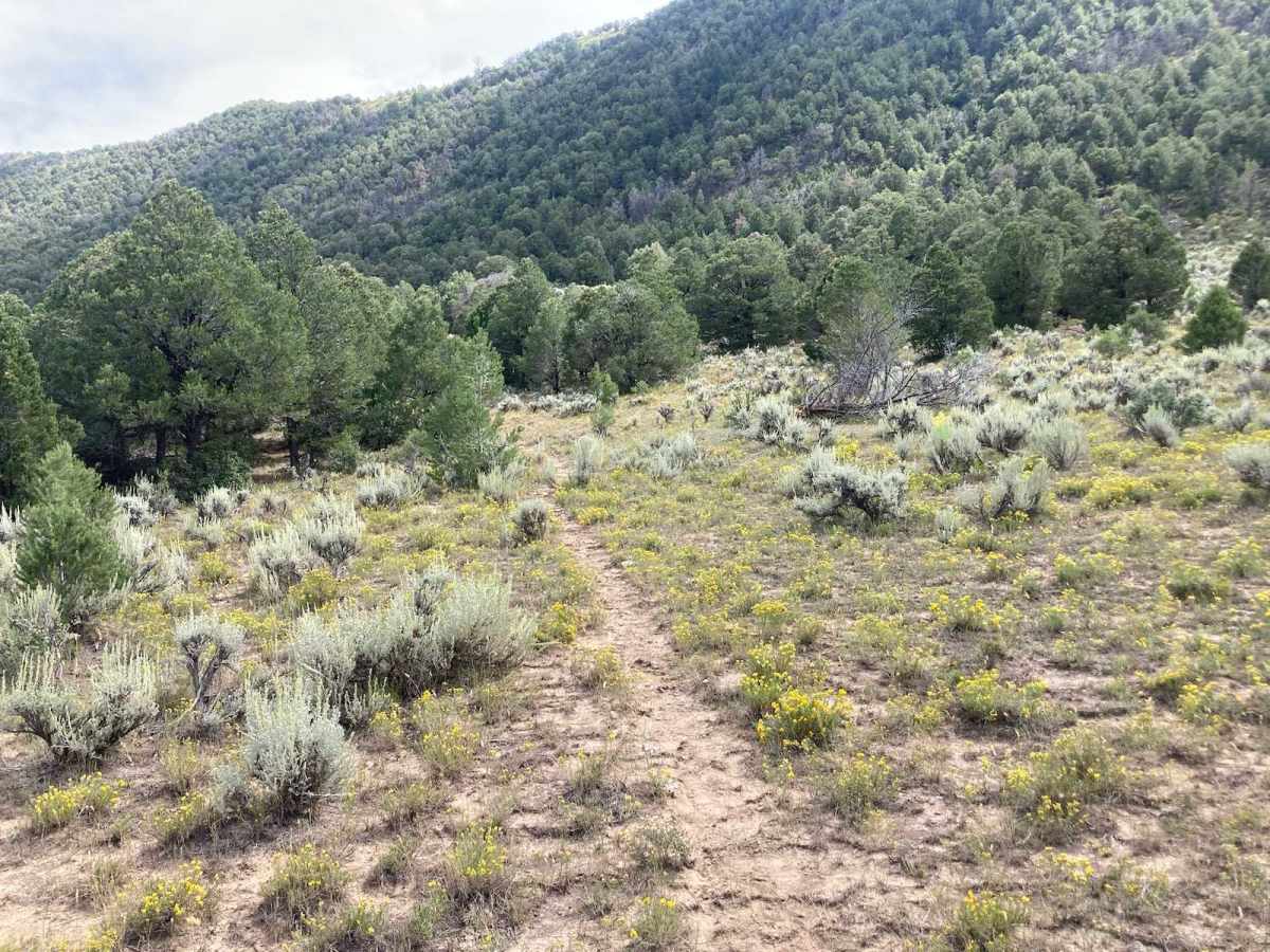 Meeker, CO, USA Turkey hunting Infinite Outdoors