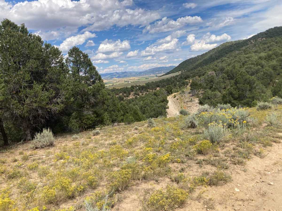 Meeker, CO, USA Turkey hunting Infinite Outdoors