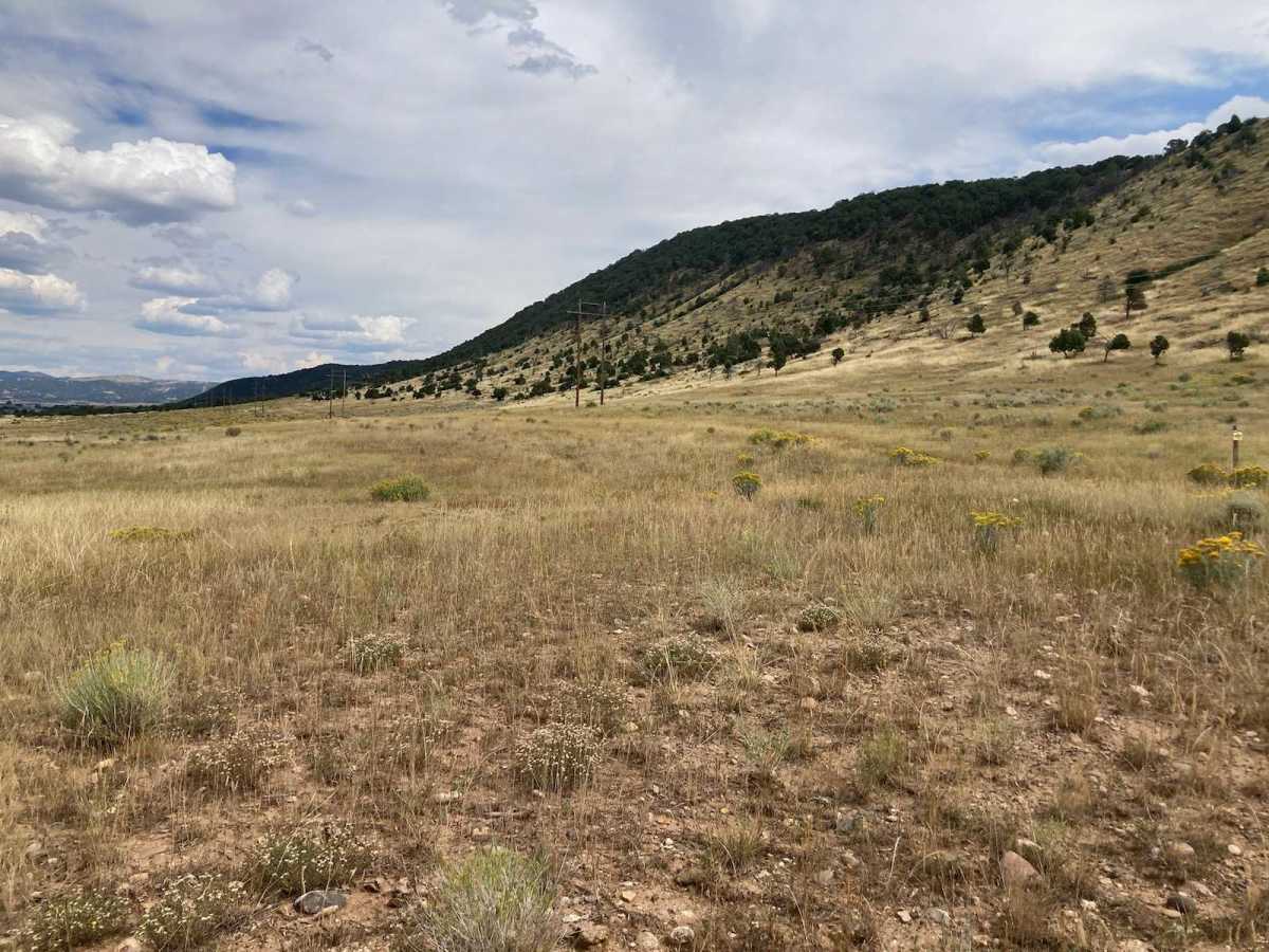 Meeker, CO, USA Turkey hunting Infinite Outdoors