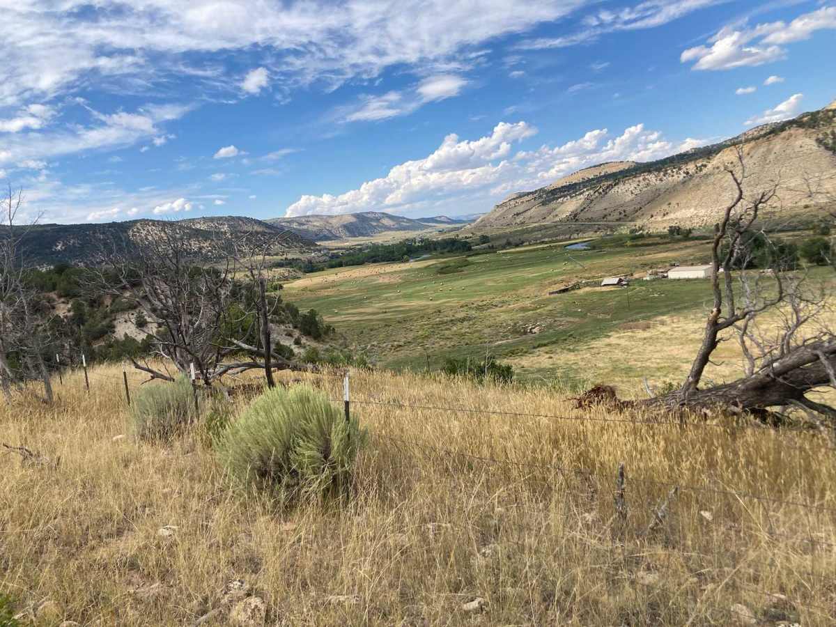 Meeker, CO, USA Turkey hunting Infinite Outdoors