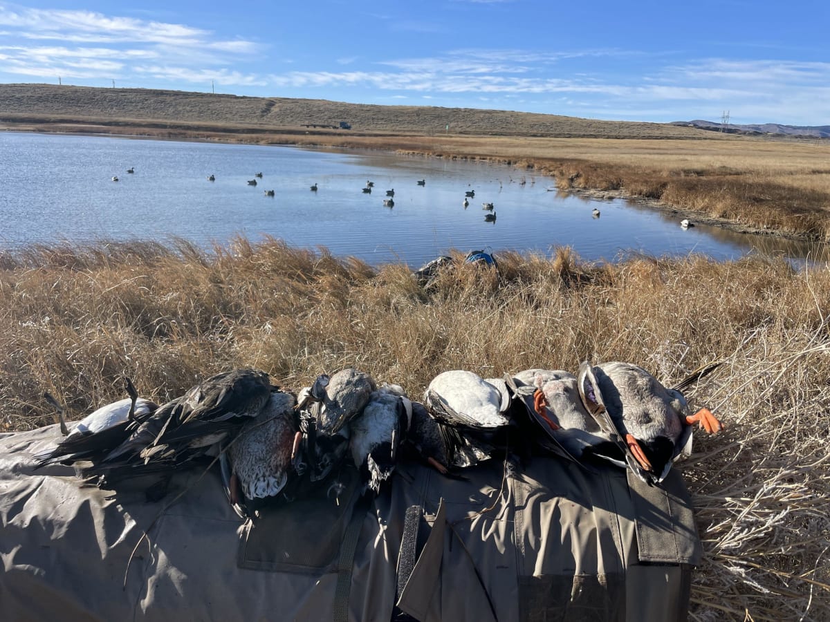 property_data/QJ9VkUPYMFnKEVKiSZIg/pictures/I-25 Waterfowl_20231112_0-min.jpg