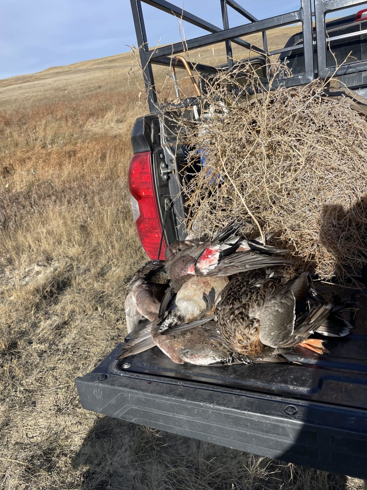 property_data/QJ9VkUPYMFnKEVKiSZIg/pictures/I-25 Waterfowl_20231112_2-min.jpg