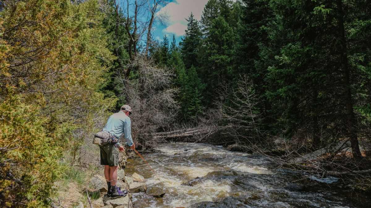 property_data/T6jZGF0amfeyEwO7VgTU/pictures/[RW] North Boulder Creek Canyon_1.jpg
