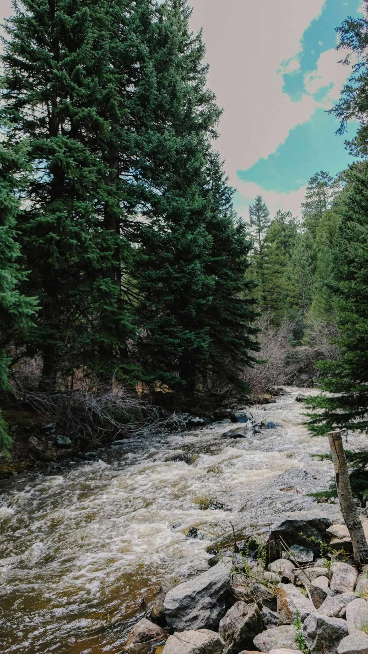 property_data/T6jZGF0amfeyEwO7VgTU/pictures/[RW] North Boulder Creek Canyon_11.jpg