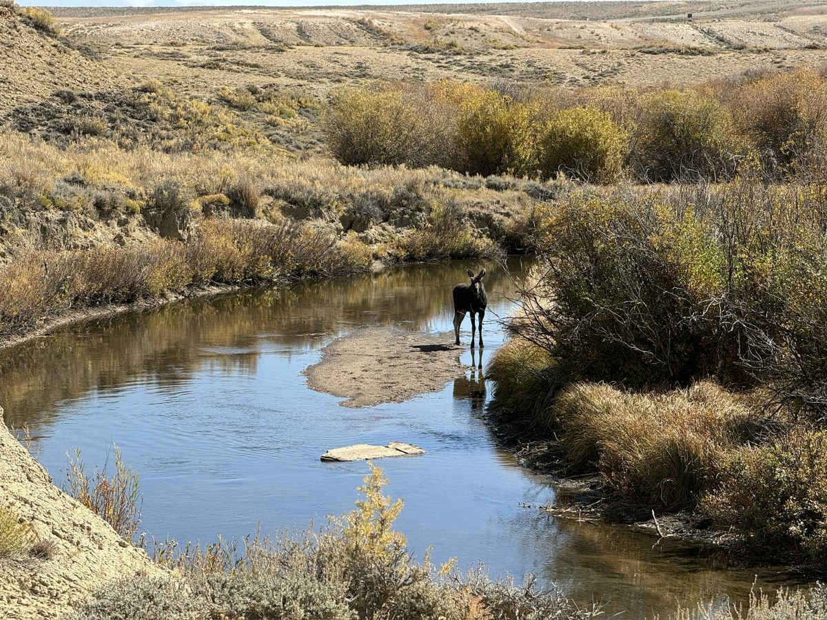 property_data/UEGklWN0PrBSUnp8fEHZ/pictures/[RW] North Fork River Basin_0.jpg
