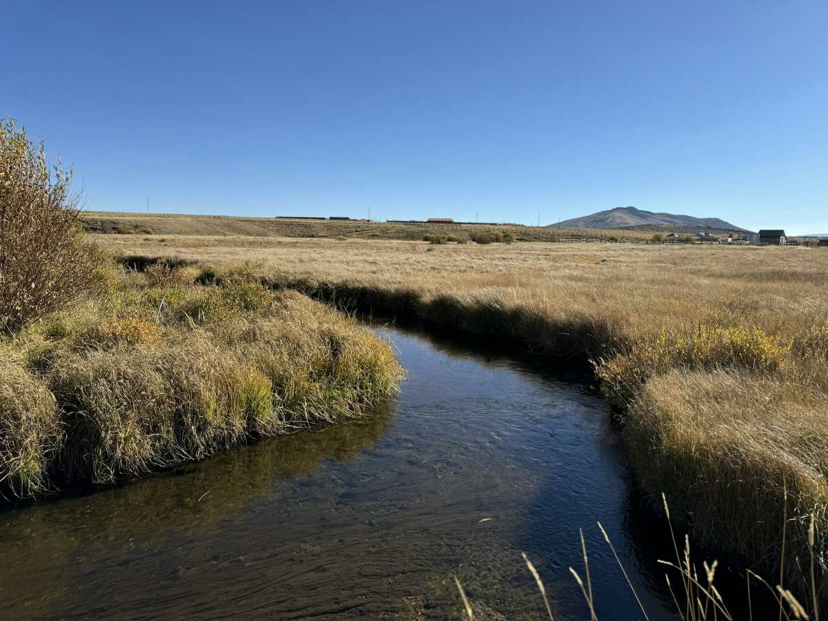 property_data/UEGklWN0PrBSUnp8fEHZ/pictures/[RW] North Fork River Basin_1.jpg