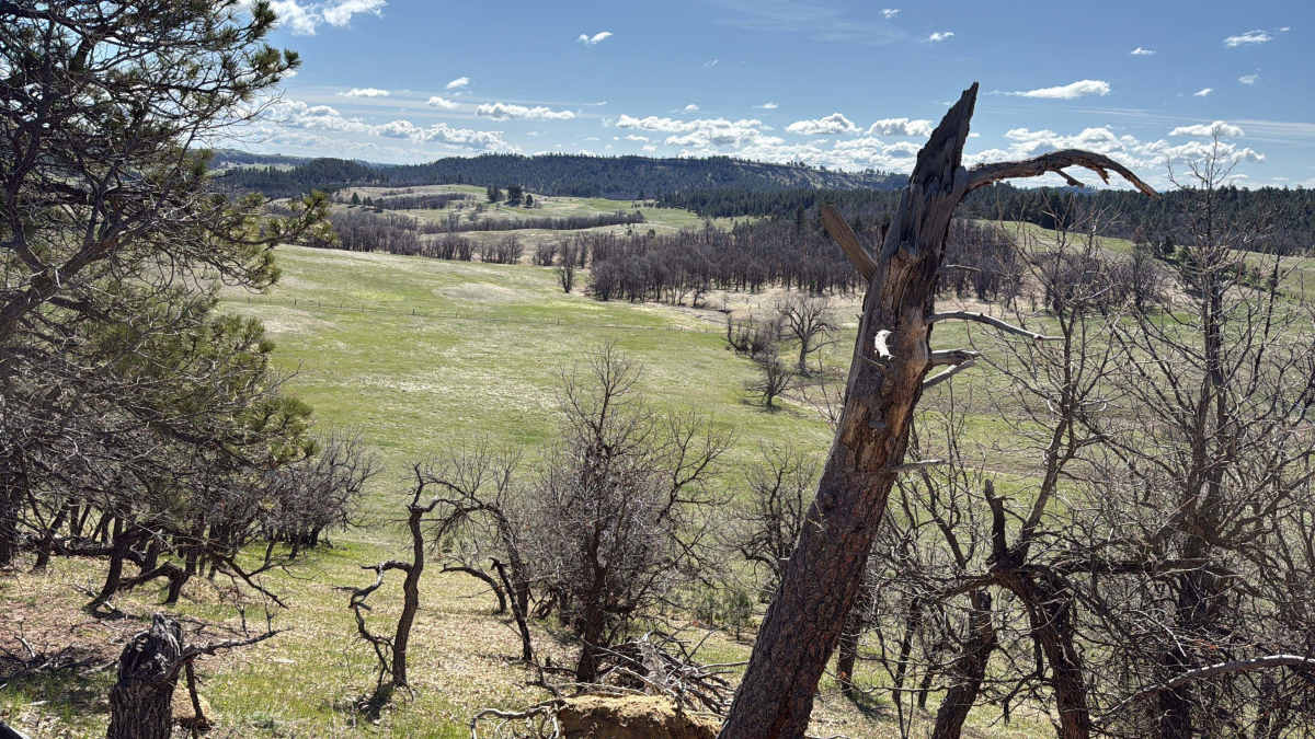property_data/ZiZJfg2hjRTgSEqghtM4/pictures/Hidden Acres -_20250503_2.jpeg