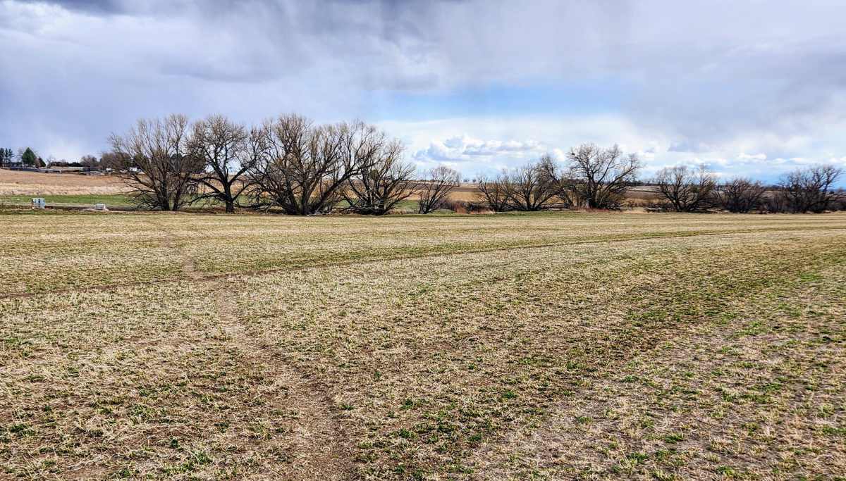 property_data/dcSsh4ZaqYEzbkSkNE11/pictures/Spotted Tail Creek bottom running through farm - good bird habitat..jpg