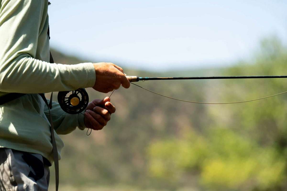 property_data/ks8KaxbndVLmRl523PYH/pictures/[RW] Roaring Fork Scenic Ranch_1.jpg