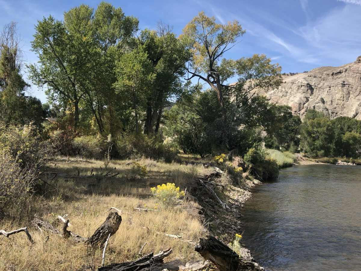 property_data/rdP3OSaZtB5fCw5UBh8u/pictures/[RW] Colorado River Bend_1.jpg