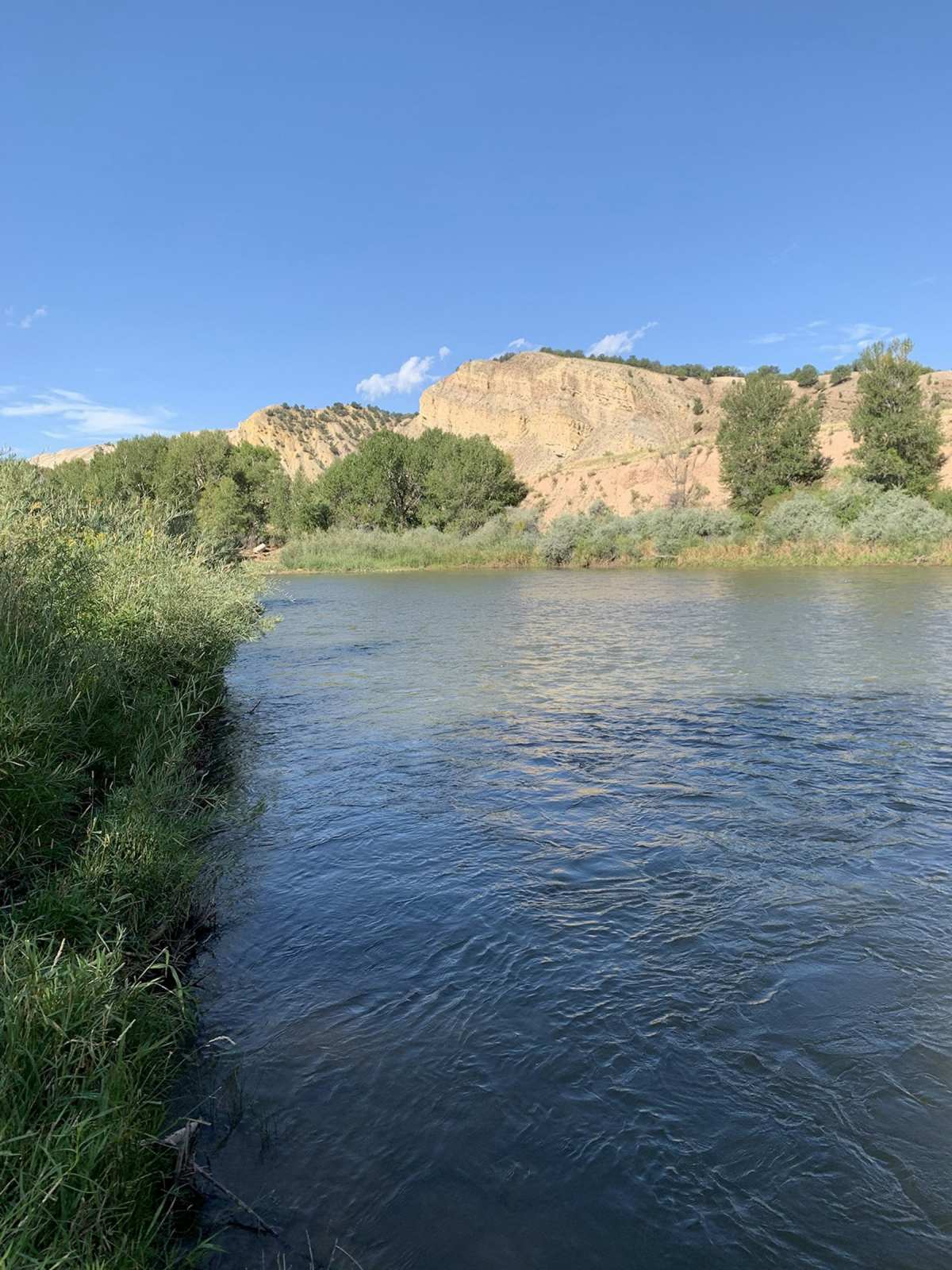 property_data/rdP3OSaZtB5fCw5UBh8u/pictures/[RW] Colorado River Bend_2.jpg