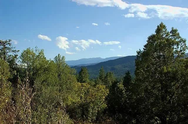 property_data/wwLmligmiV5uvUzZUkgi/pictures/646etc9i.jpeg