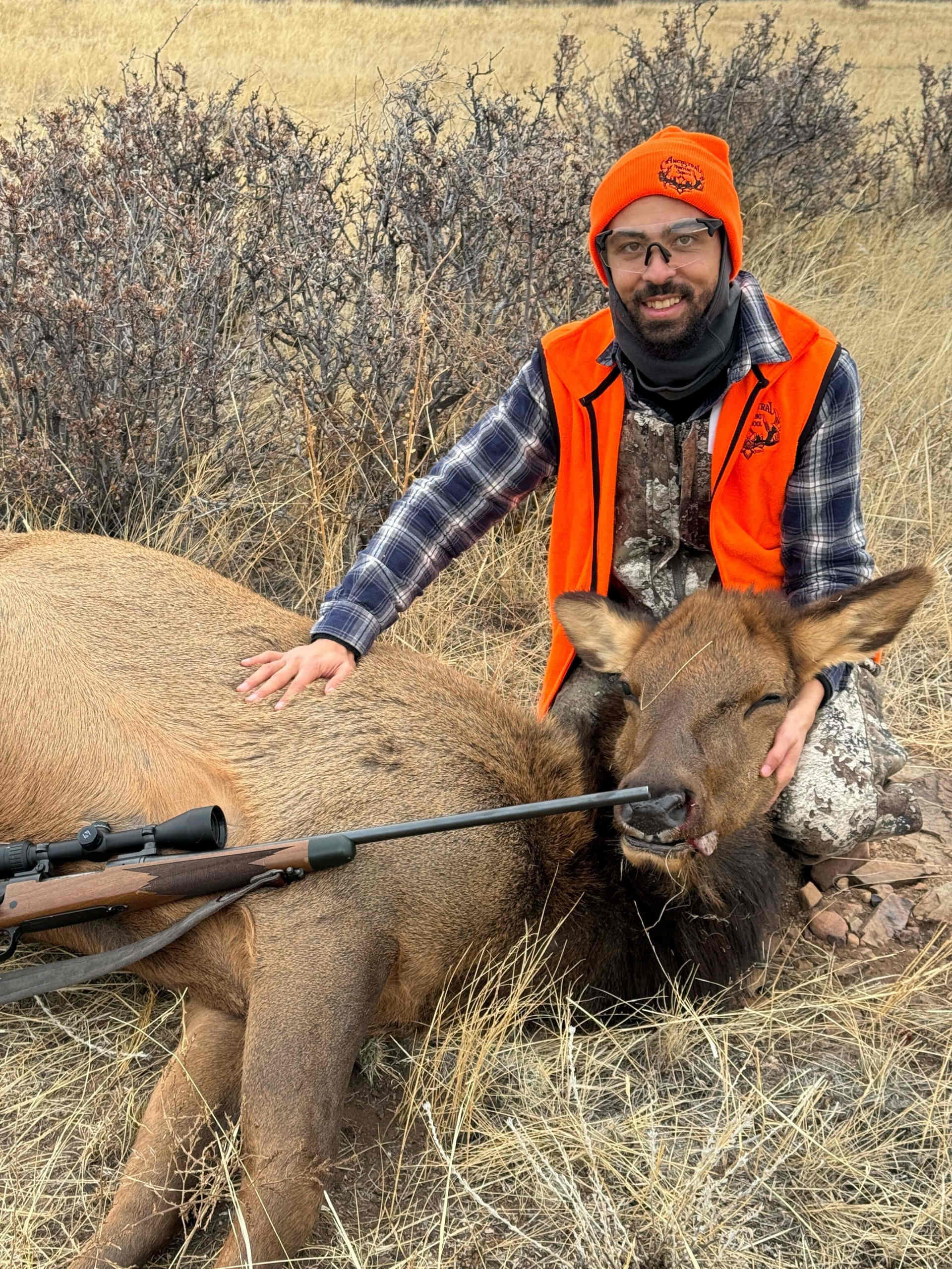Luman Creek - Cow Elk