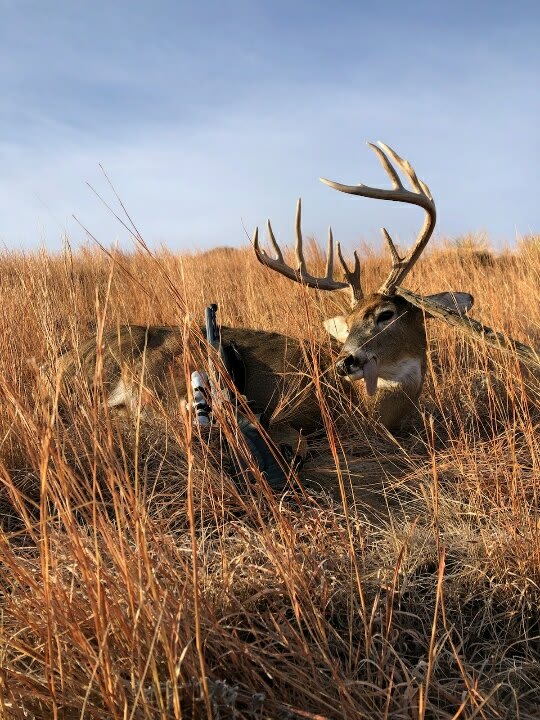 Skull Creek - Deer 