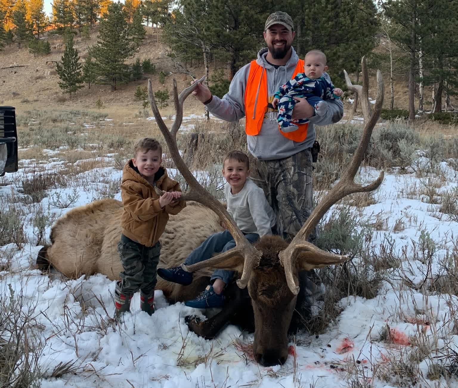 Four Corners Ranch - Bull Elk