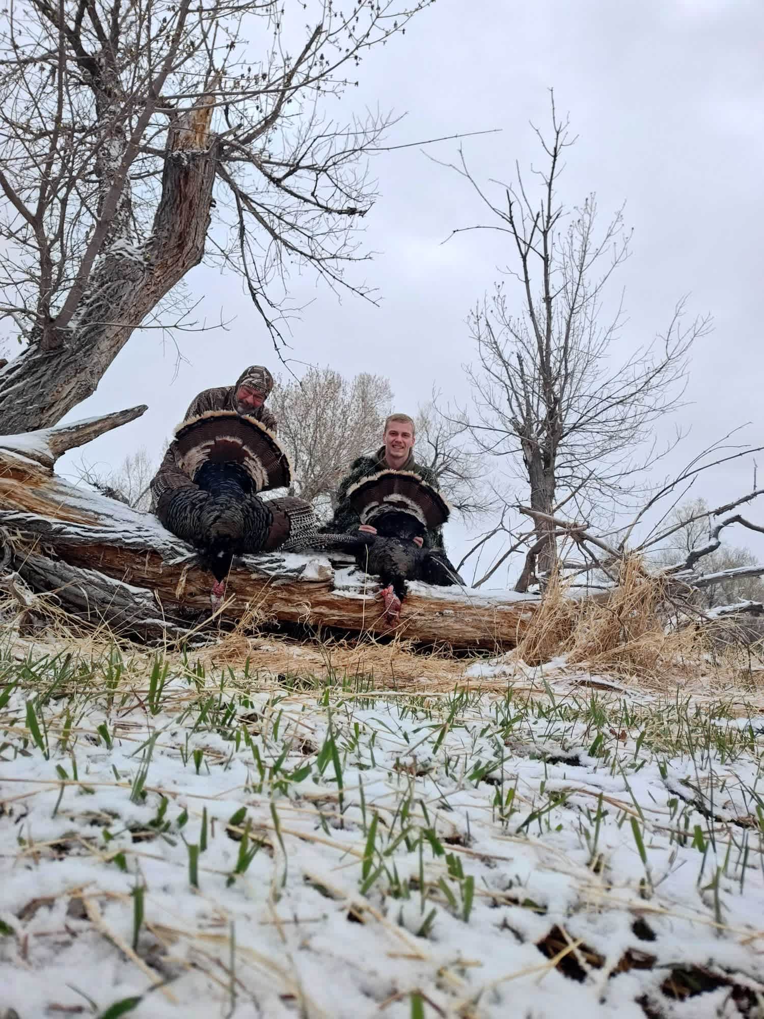 Boxelder South #2 Turkey