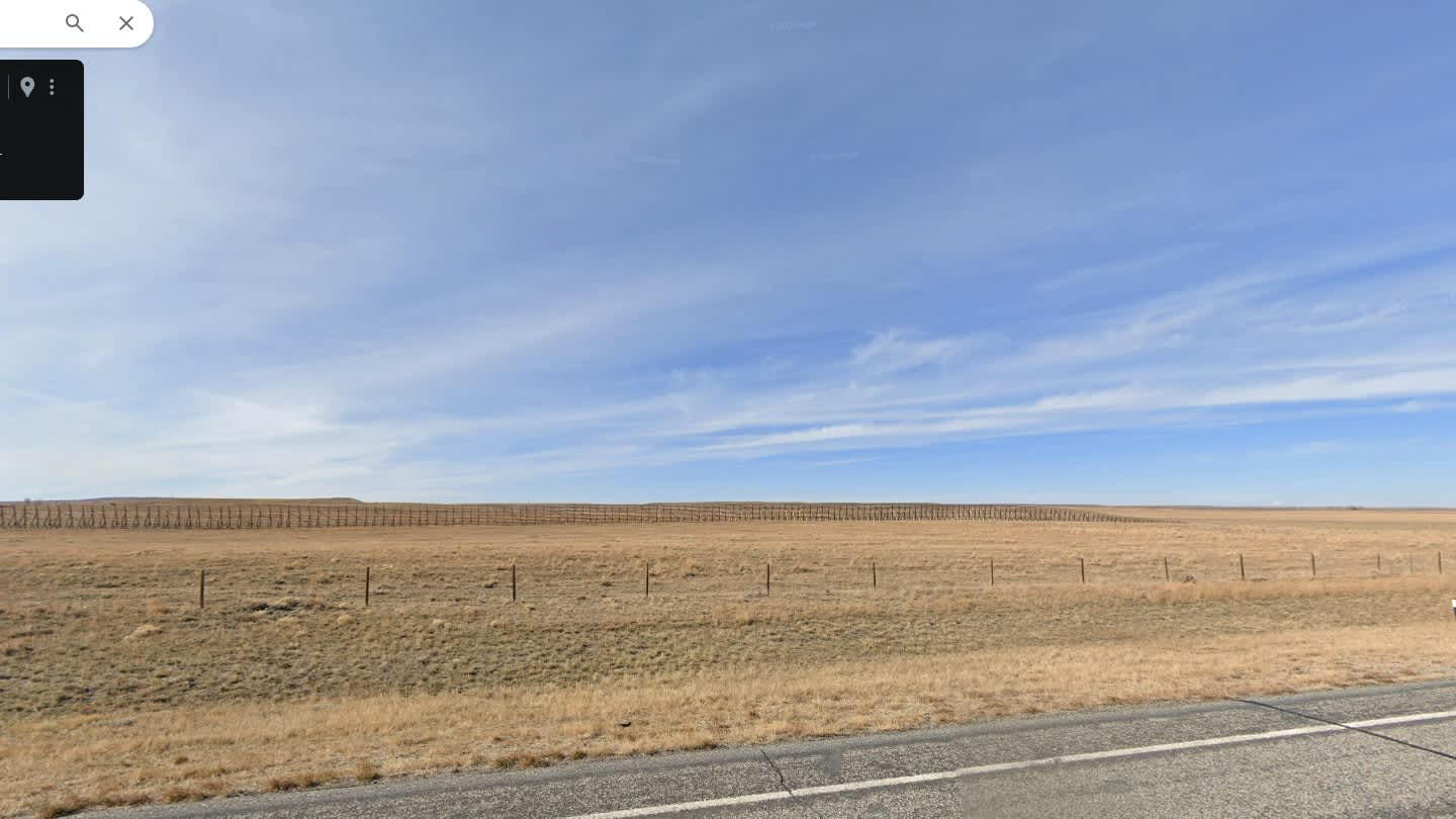 Foote Creek Pronghorn