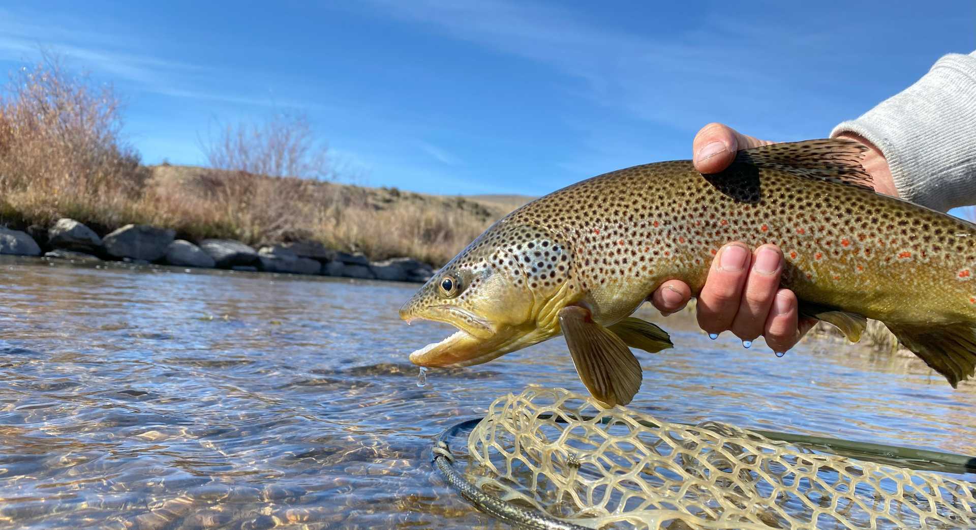 Boxelder Creek - Fishing