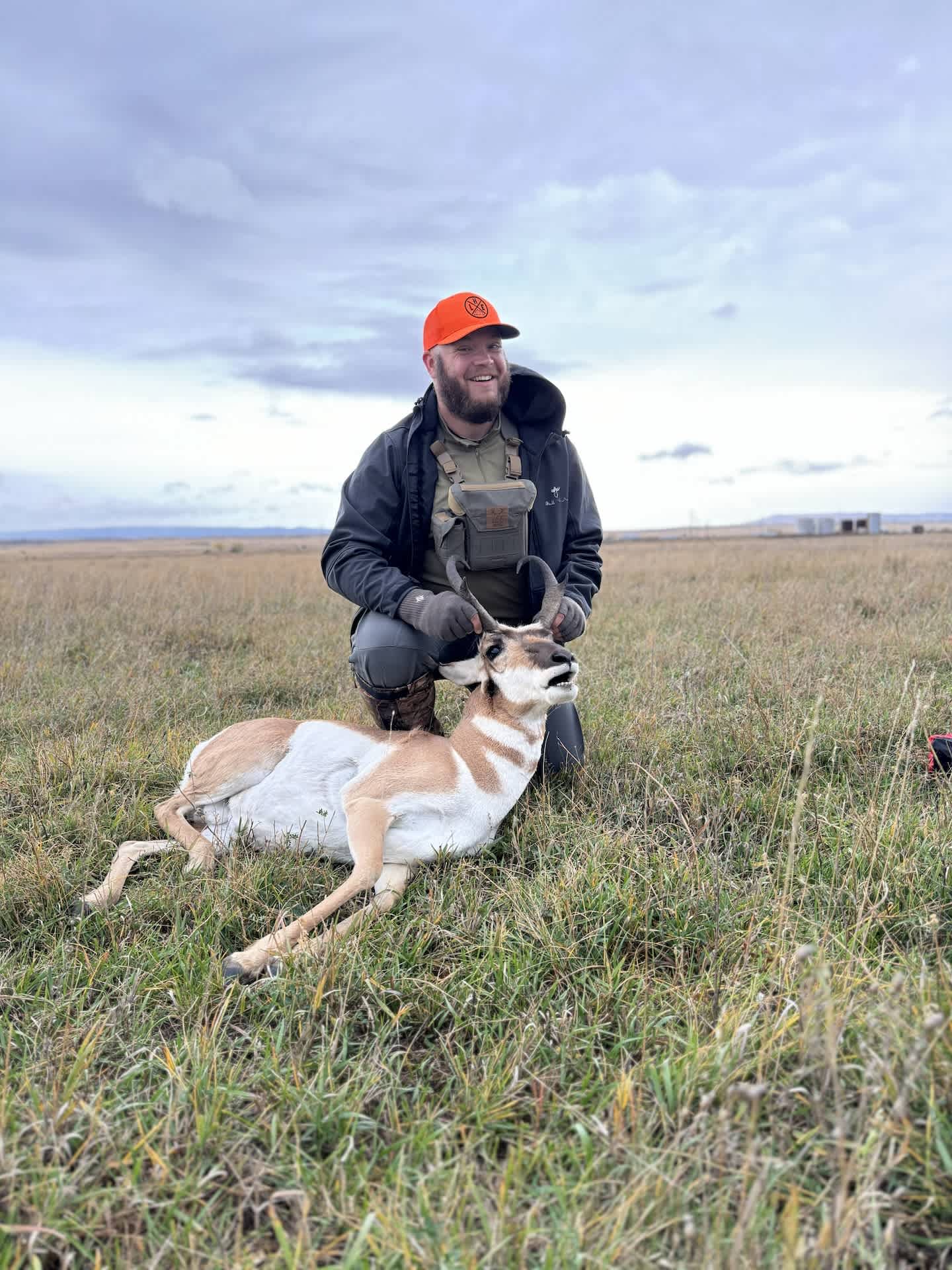 Newcastle Draws - Pronghorn