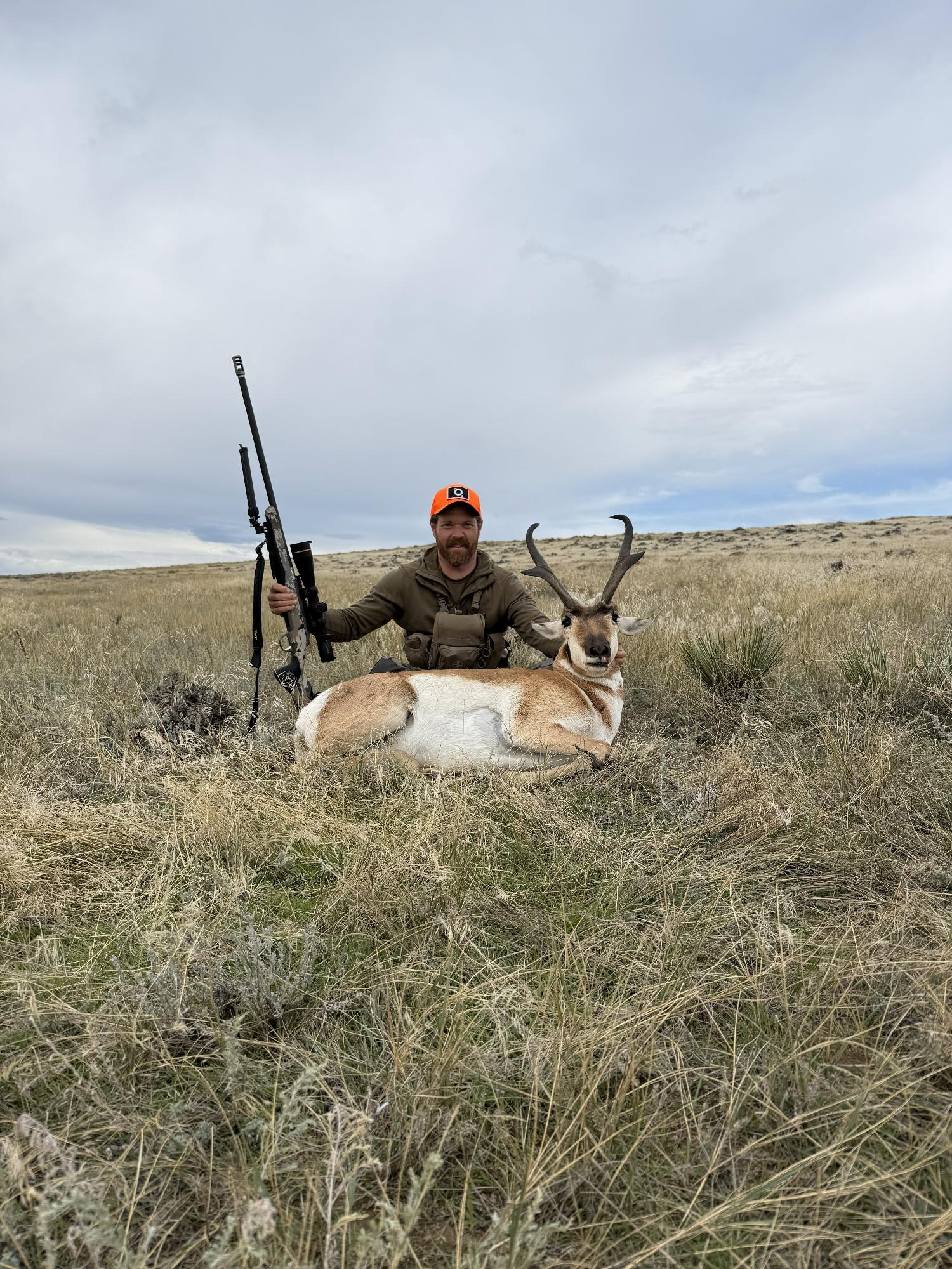 Hunton Creek Pronghorn