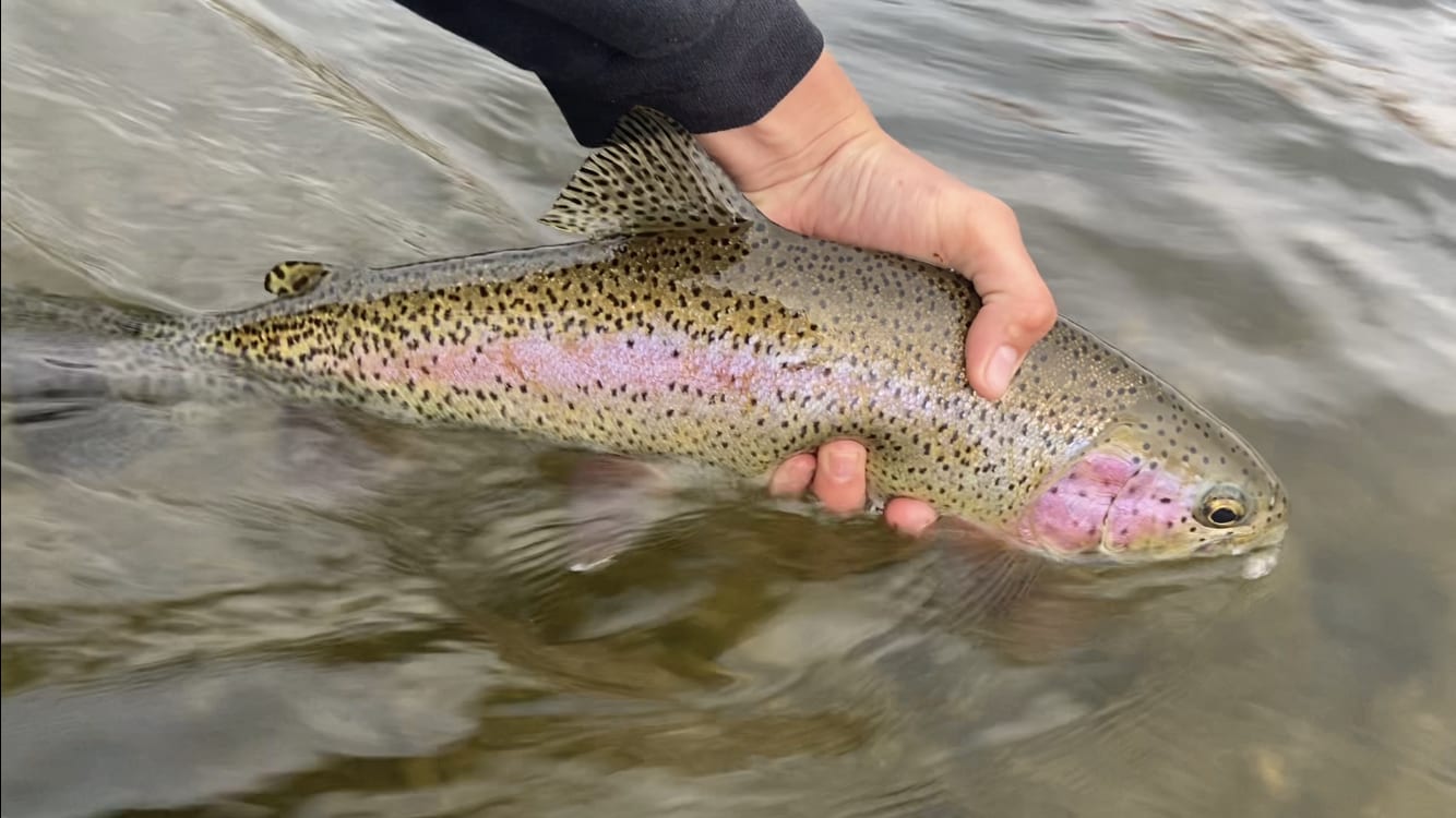 Little Sand - North Platte River Fishing