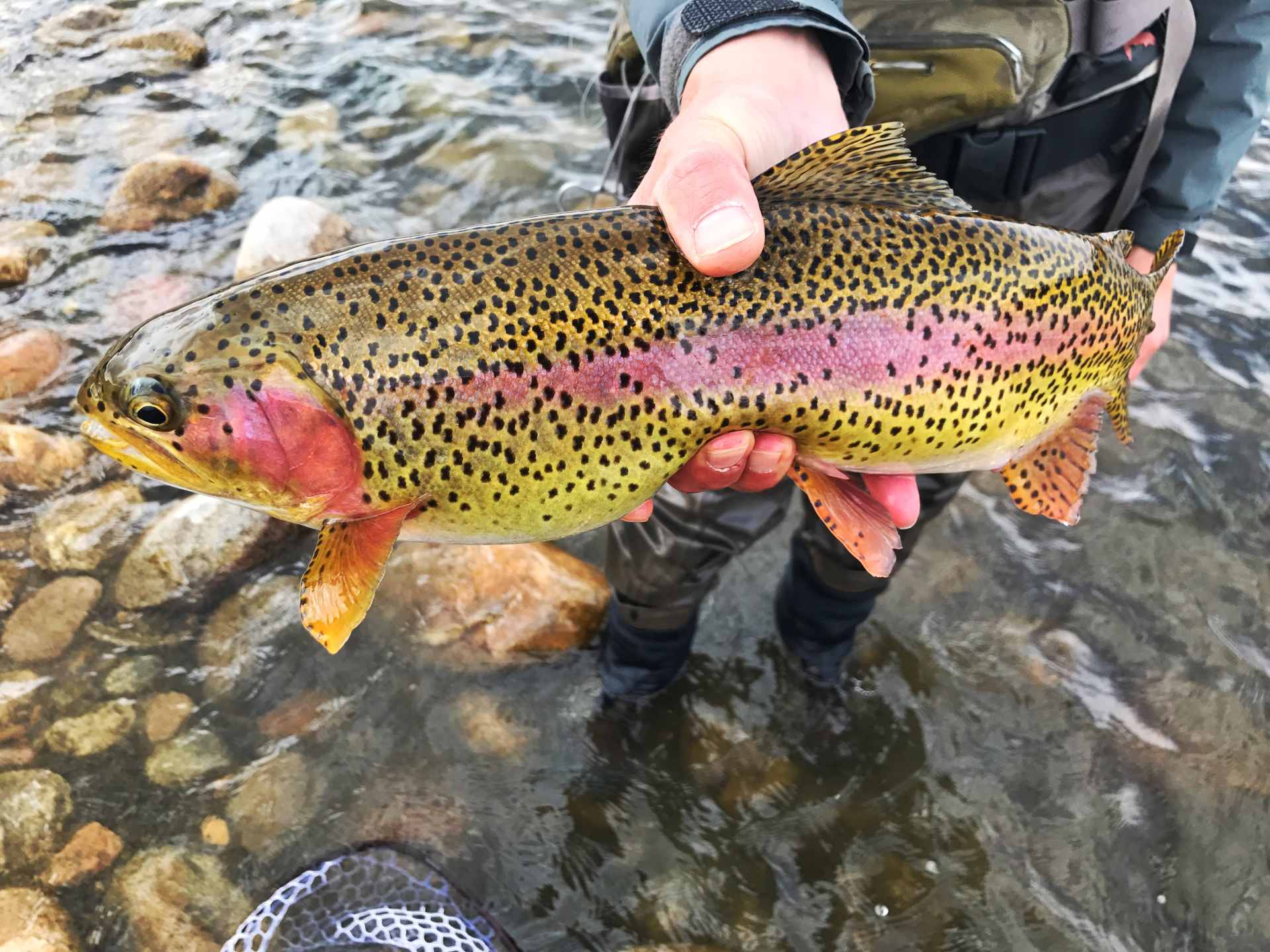 Elder Inlet - North Platte River Fishing